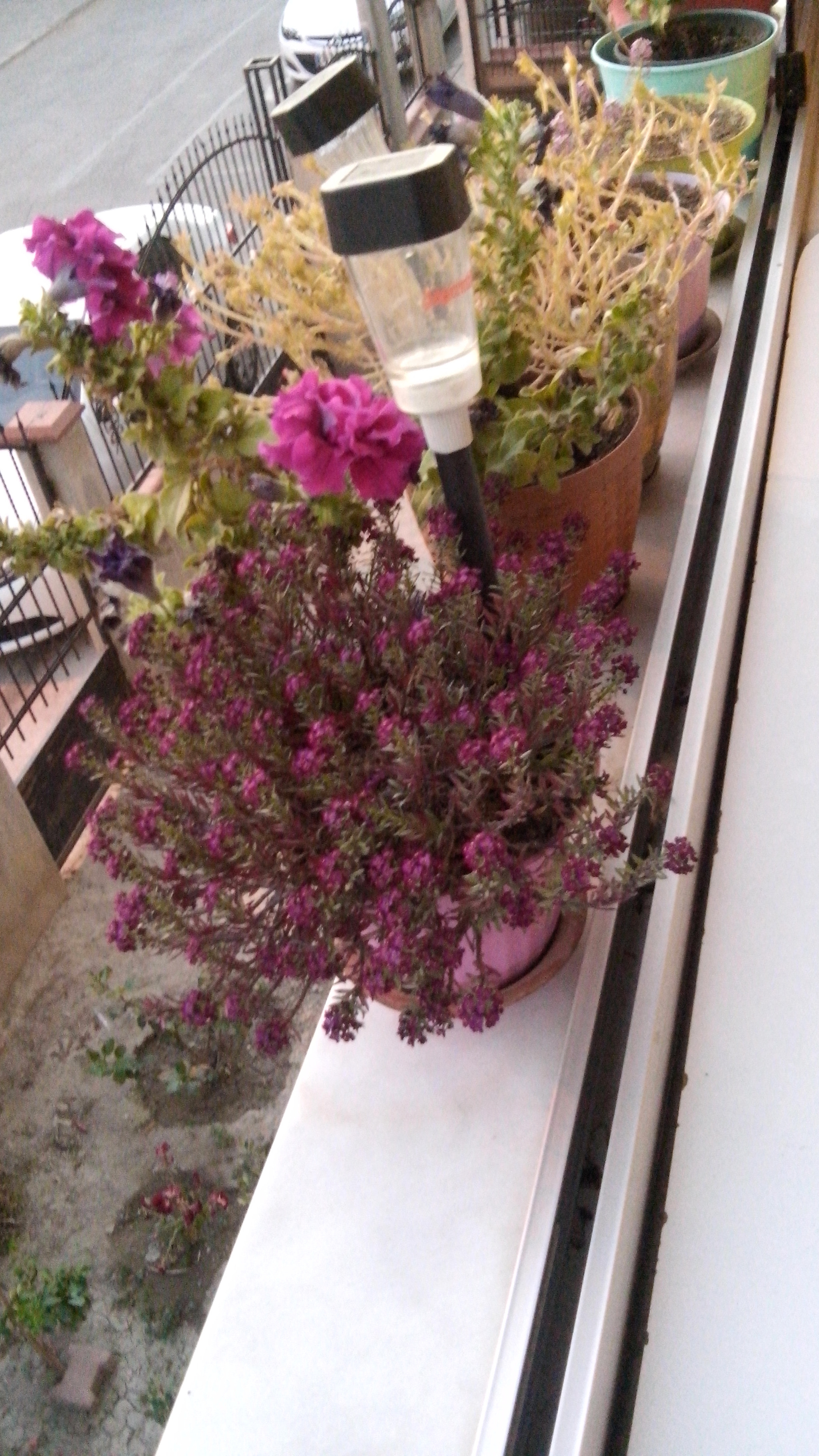 LG G Pro Lite sample photo
