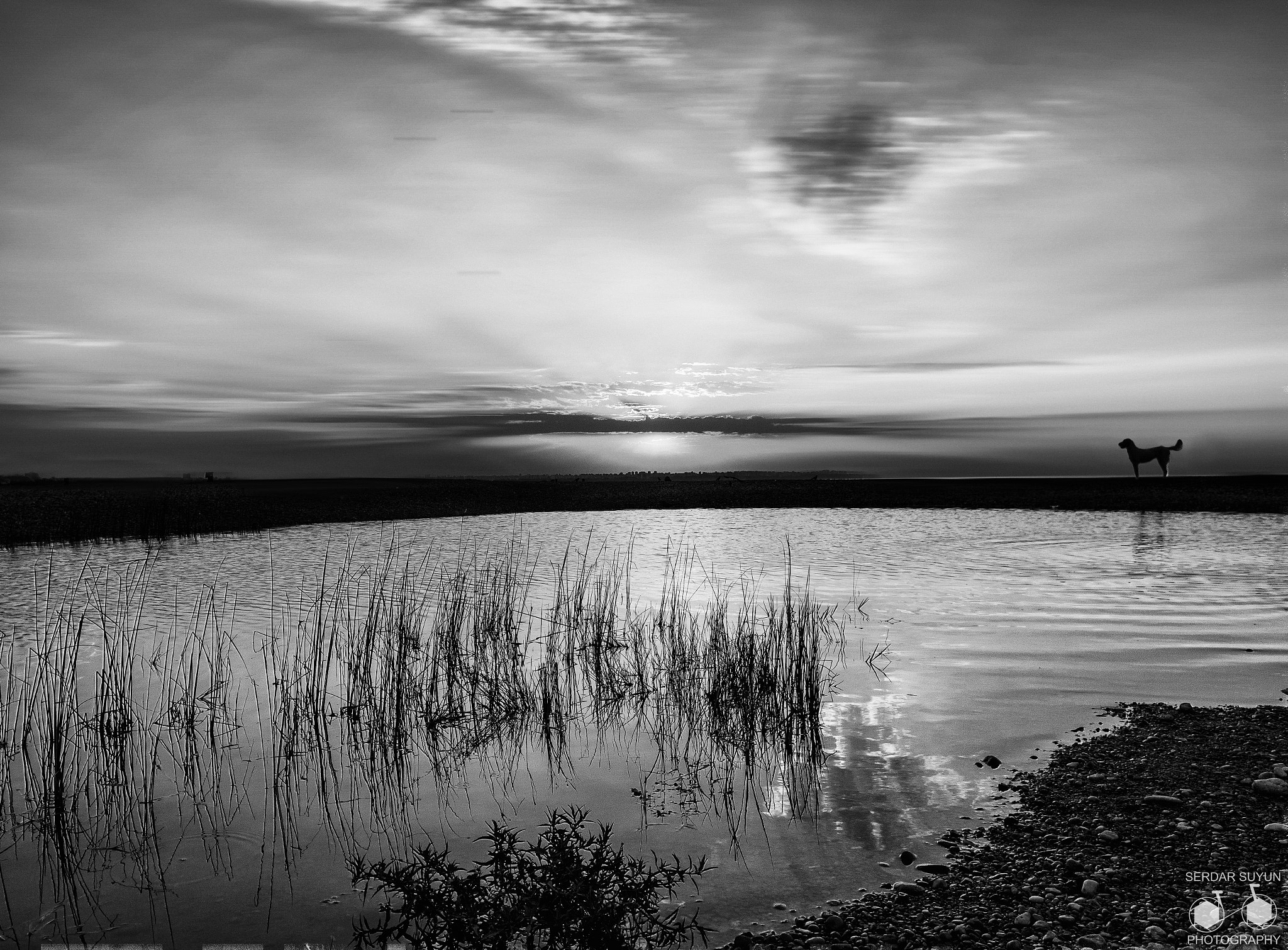 Canon EOS 760D (EOS Rebel T6s / EOS 8000D) sample photo. Sunrise photography