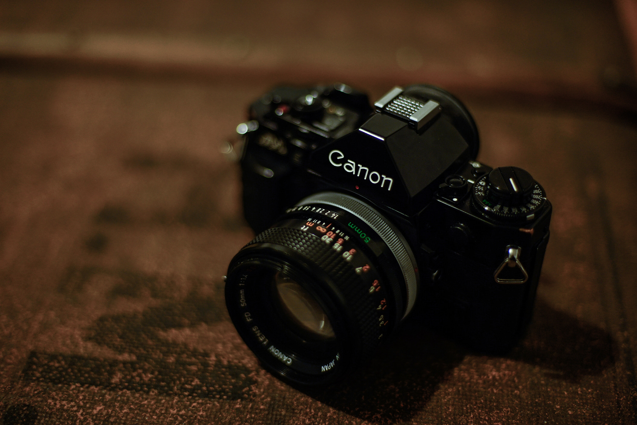 Sony a7S + Sony DT 50mm F1.8 SAM sample photo