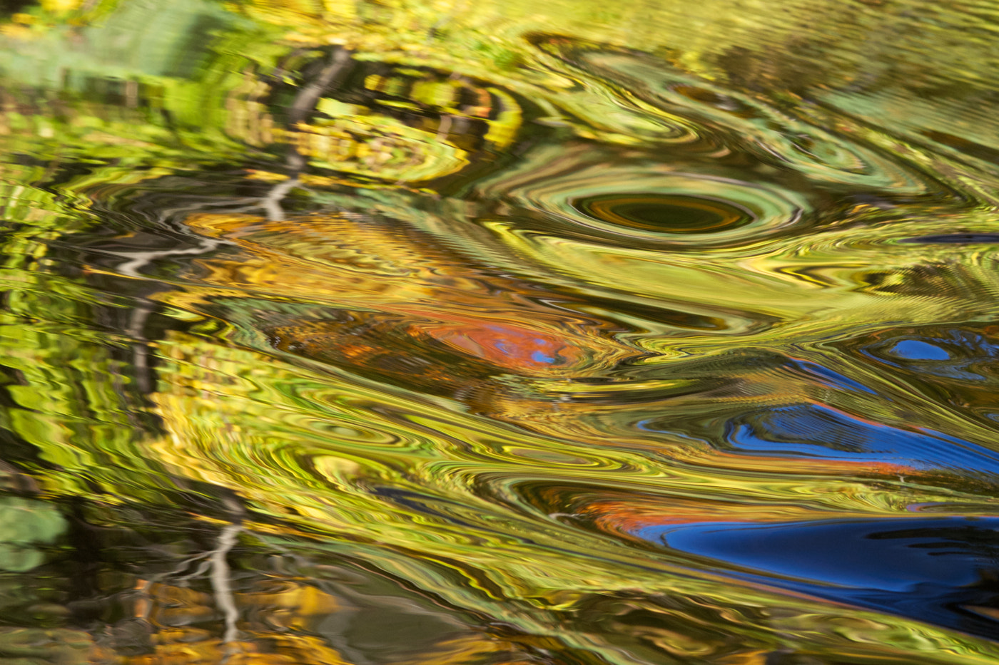 Pentax K-5 II + smc PENTAX-FA Macro 100mm F2.8 sample photo. Abstract fall reflection (2016) photography