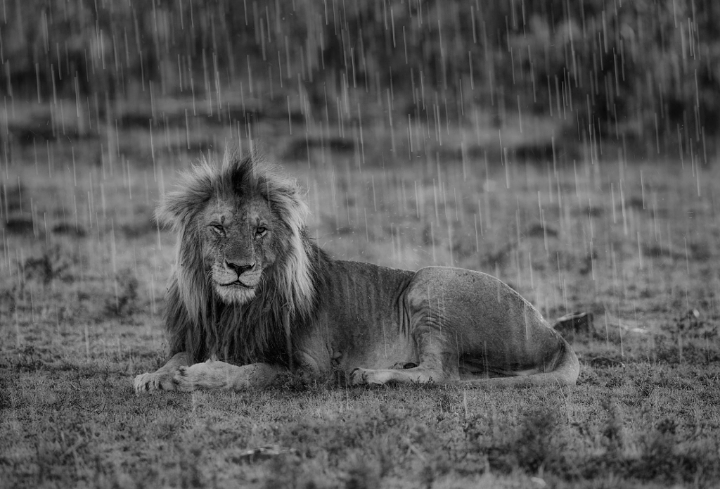 RAIN STREAKS by Jaco Marx on 500px.com