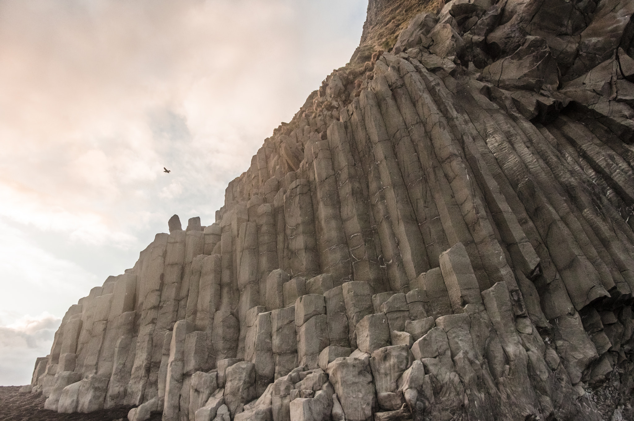 Pentax K-3 + HD Pentax DA 15mm F4 ED AL Limited sample photo. Puffins final launch photography