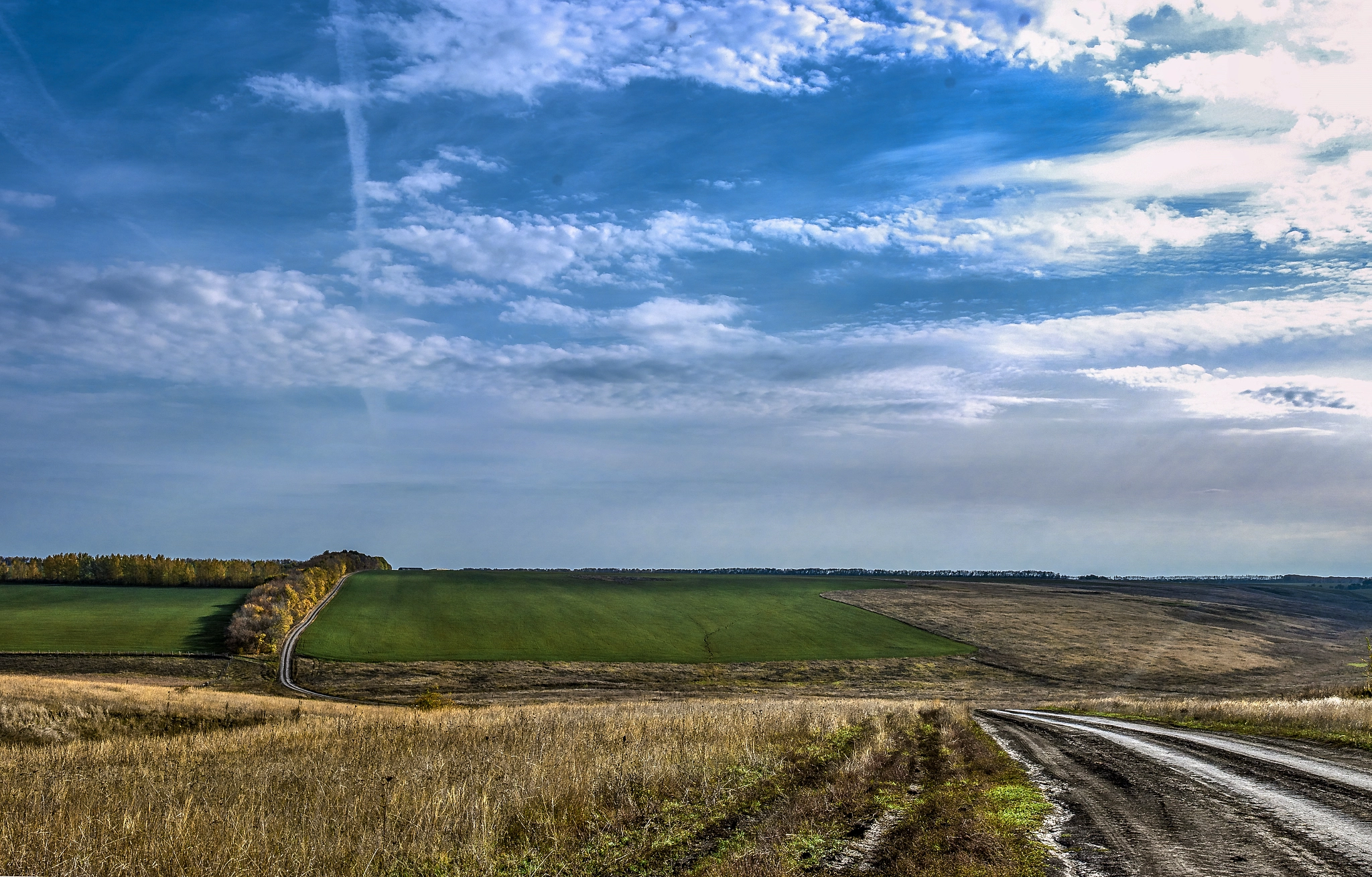 Sony SLT-A77 sample photo. Road in autumn photography