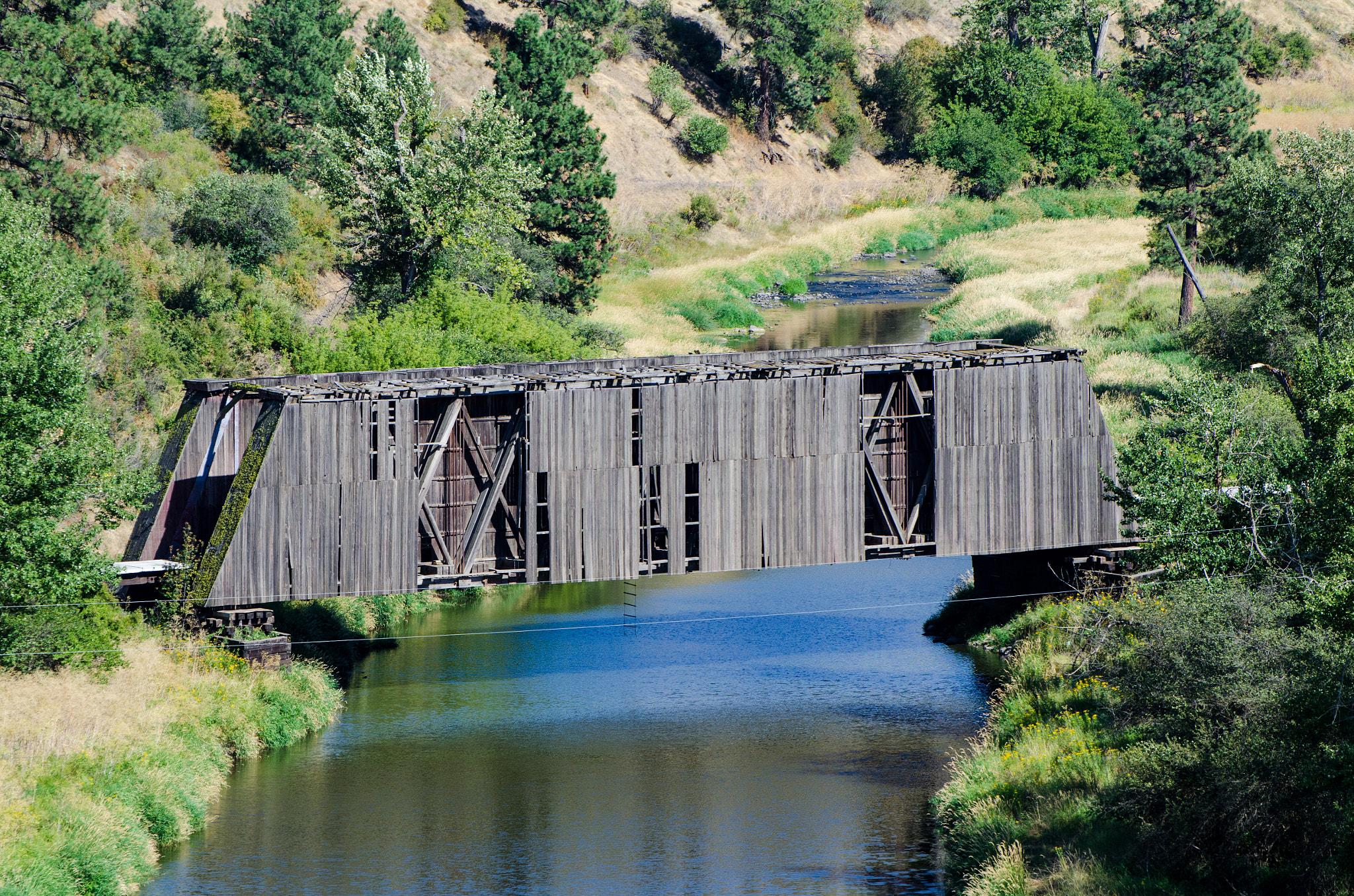 Nikon D5100 sample photo. Covered bridge over the palouse river photography