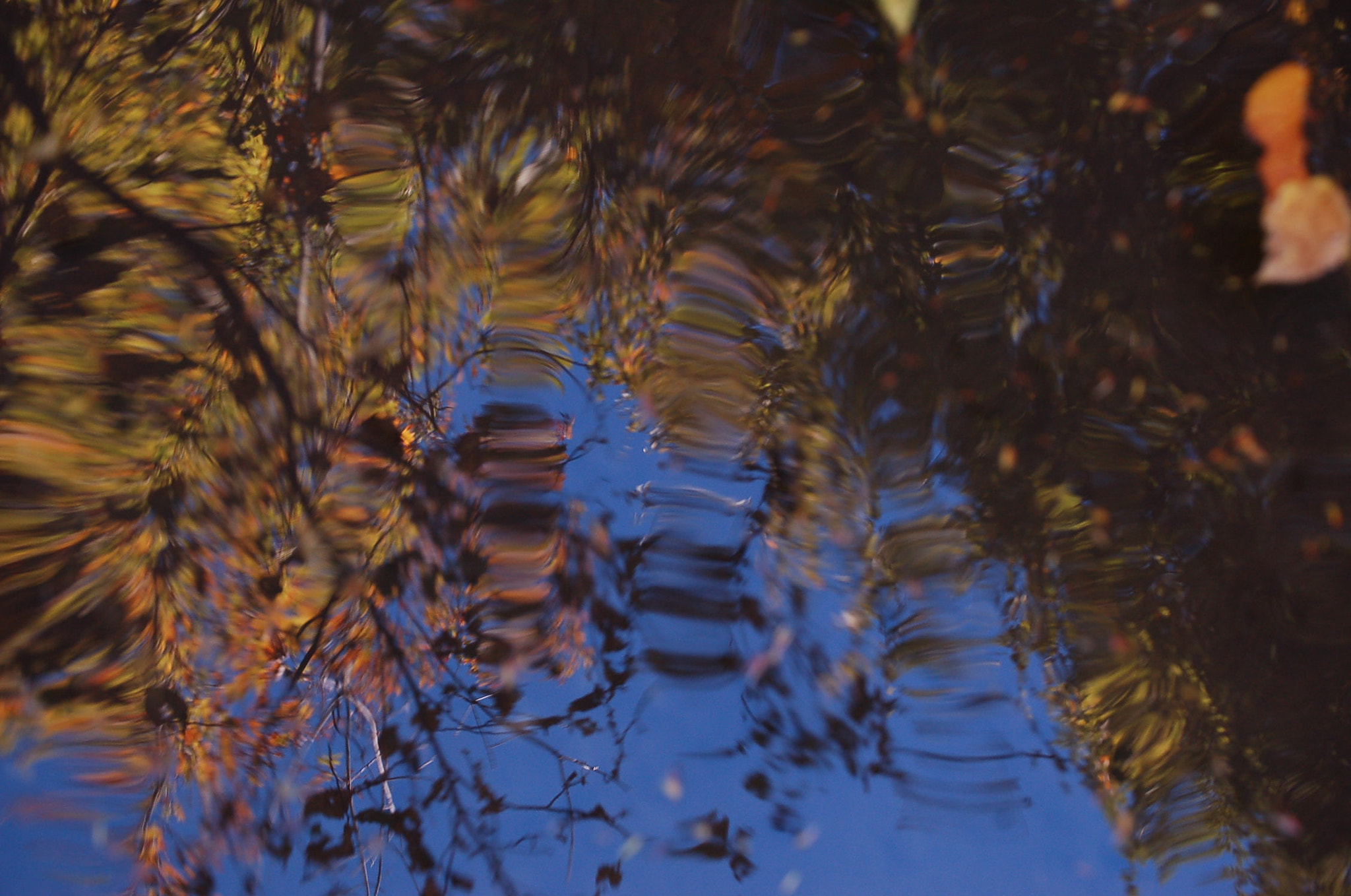 Nikon D50 sample photo. Untitled photography