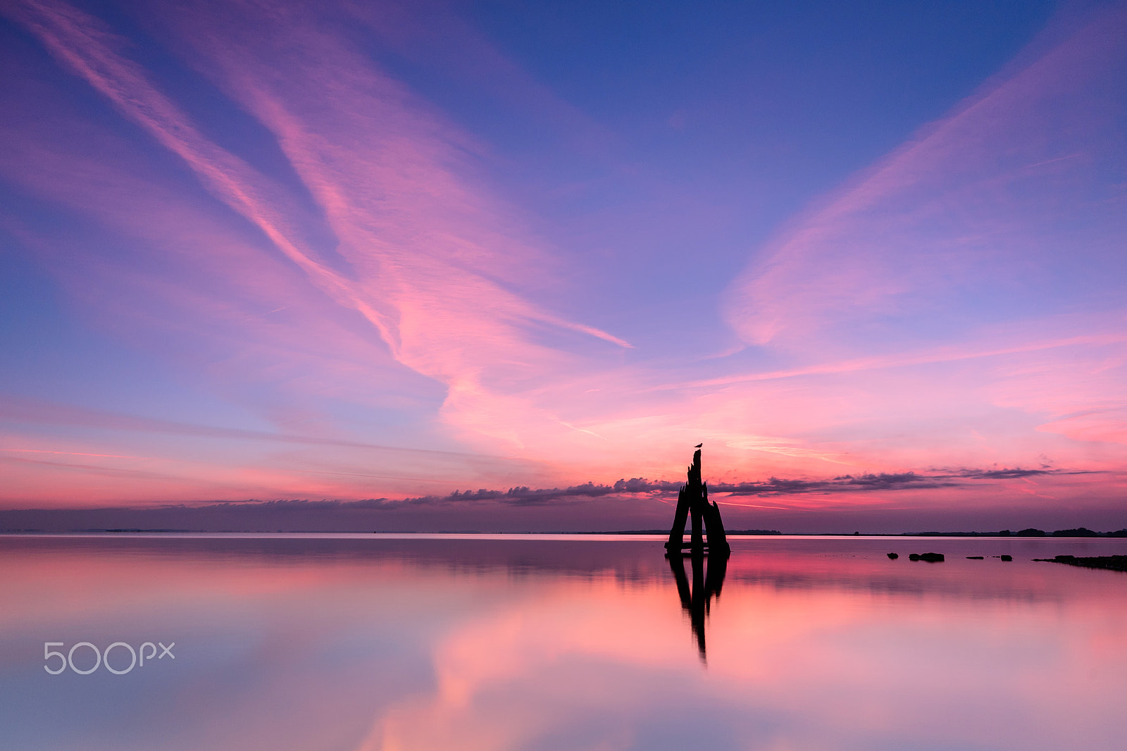 Sigma 10-20mm F4-5.6 EX DC HSM sample photo. Arendshoofd photography
