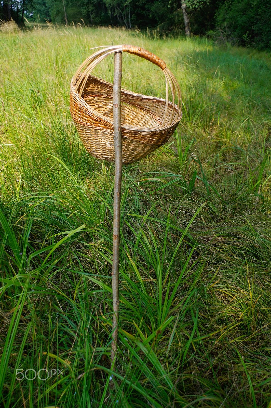 Pentax K-3 sample photo. Closeup picnic basket hanging on a rod in grass, outside with green nature background photography