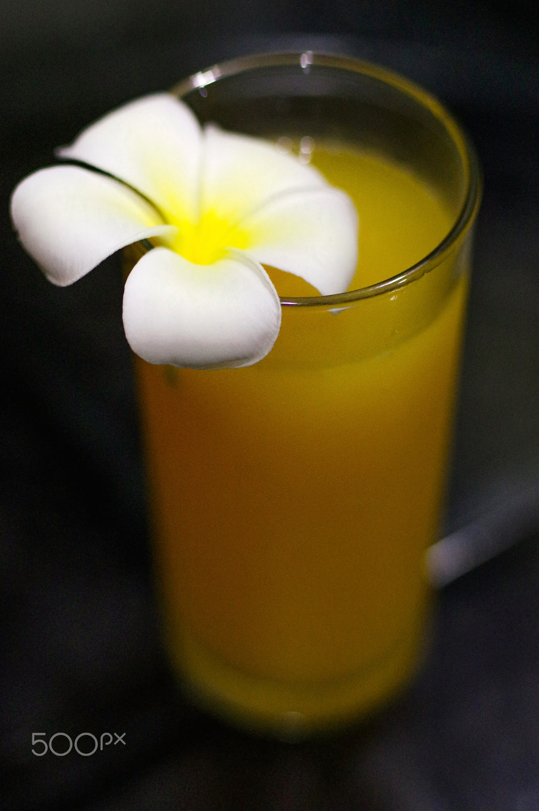 Pentax K-3 + Pentax smc DA* 55mm F1.4 SDM sample photo. Freshly squeezed fresh orange juice, close-up with a magnolia bl photography