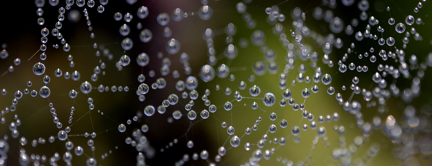 AF Zoom-Nikkor 28-100mm f/3.5-5.6G sample photo. Chaplet photography