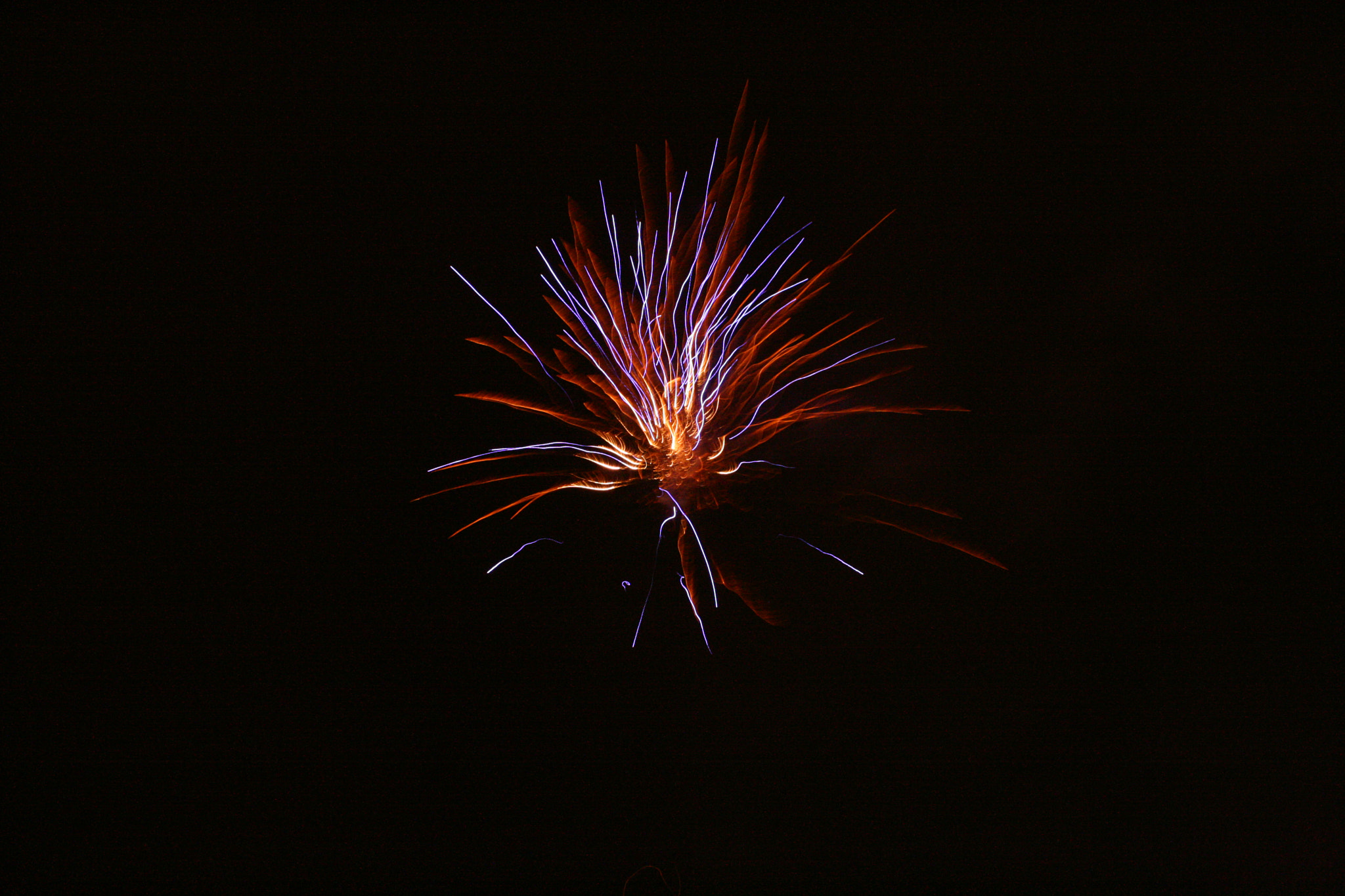 Canon EOS 400D (EOS Digital Rebel XTi / EOS Kiss Digital X) sample photo. Fireworks flower photography