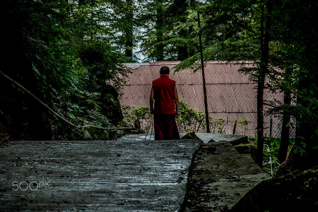 Nikon D5 sample photo. Temple road photography