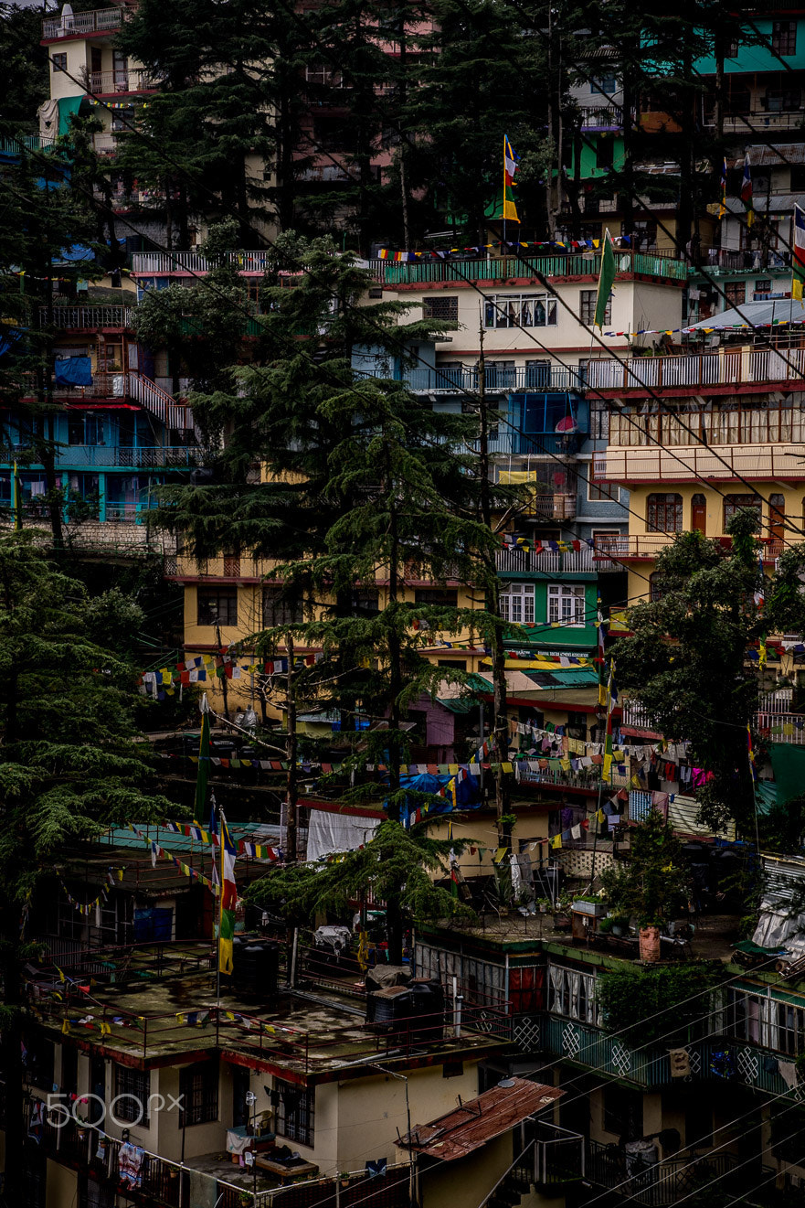 Nikon D5 sample photo. Himachal houses photography