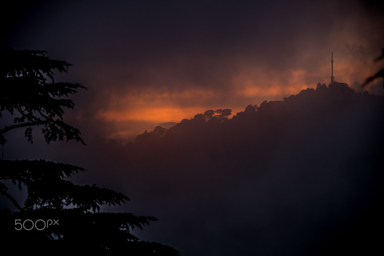 Nikon D5 sample photo. Mountains on fire photography