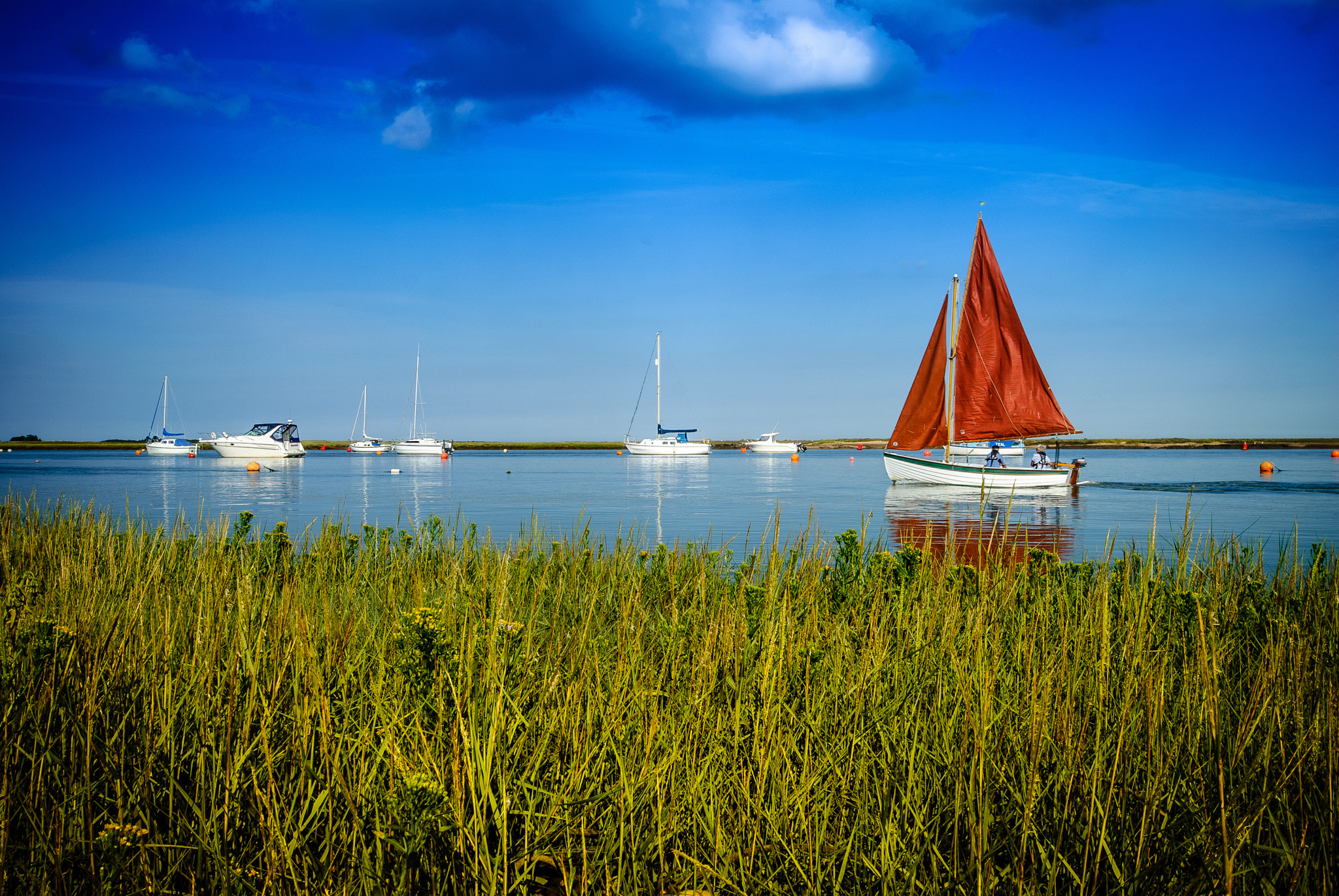 Nikon D80 sample photo. Red sail photography