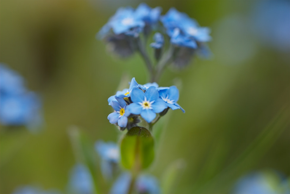 Nikon D80 sample photo. More blue photography