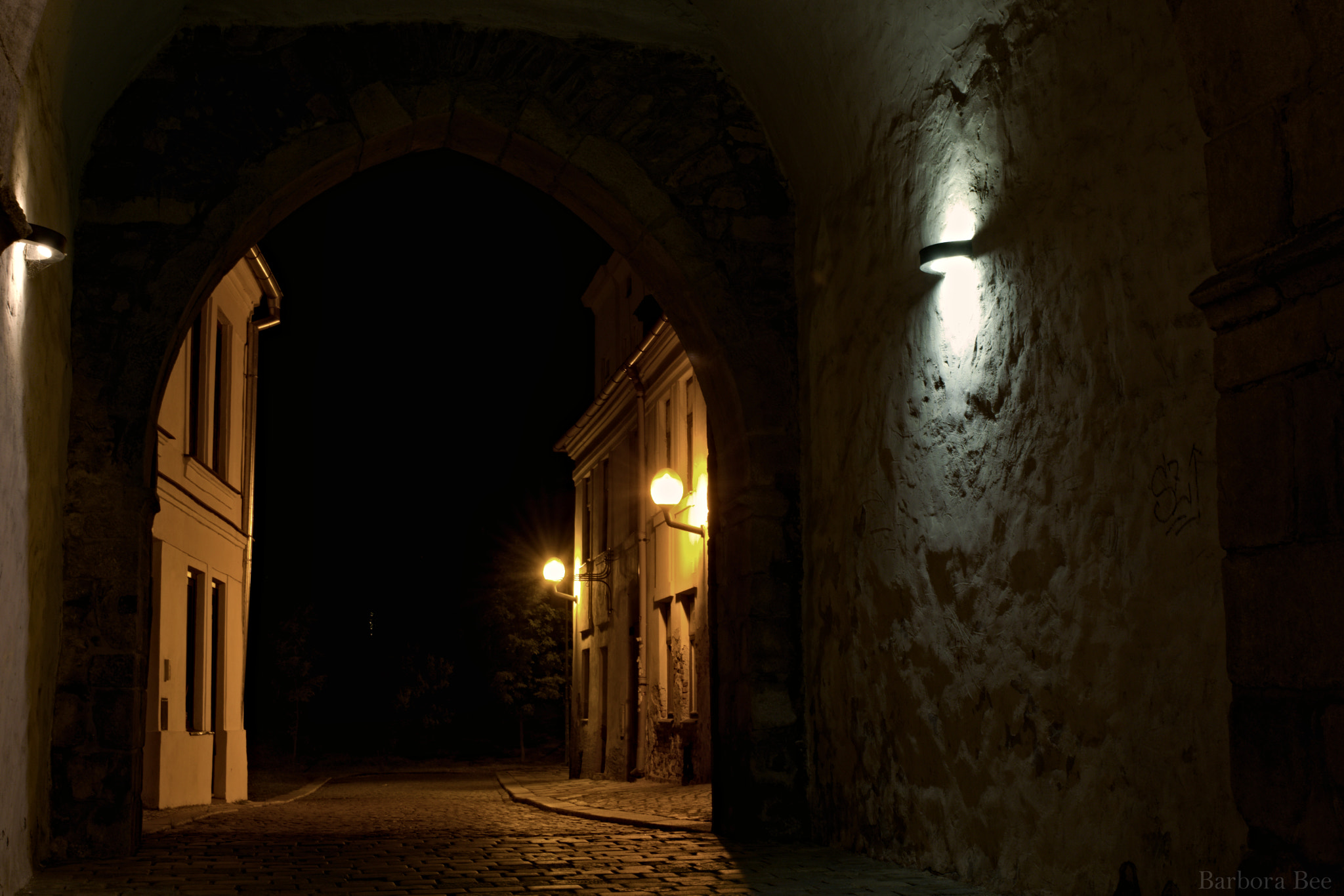 18.00 - 55.00 mm f/3.5 - 5.6 sample photo. Nocturnal gate photography