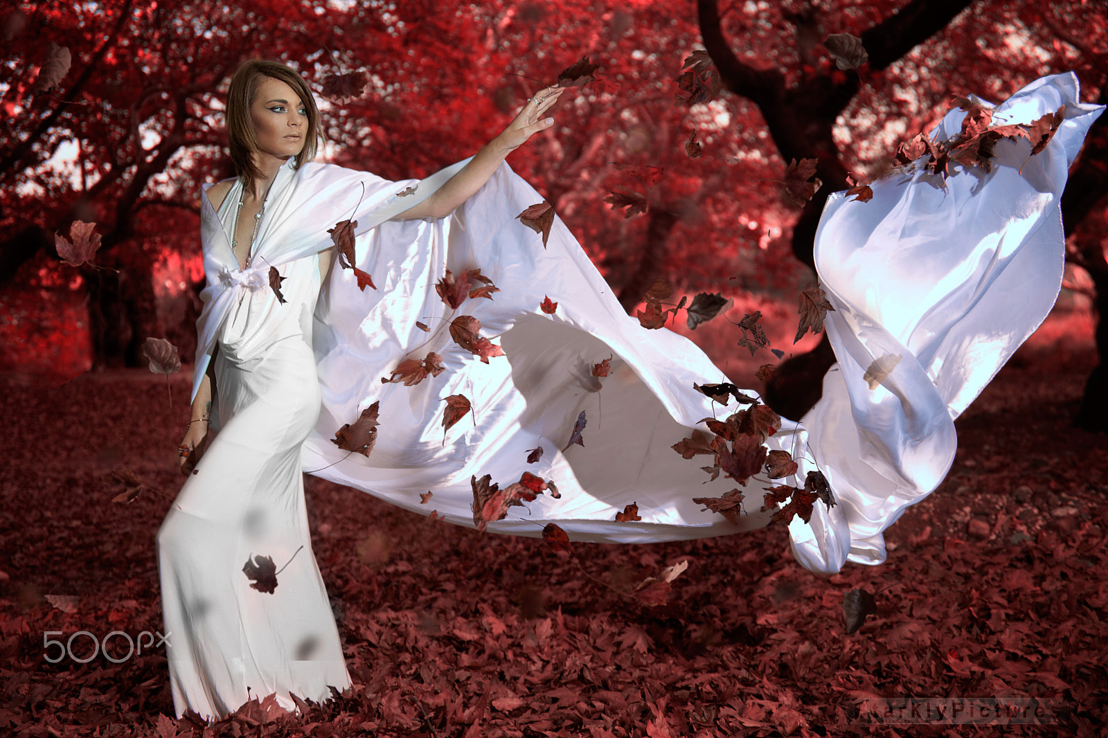 Canon EF 35-350mm F3.5-5.6L USM sample photo. "the red forest" photography