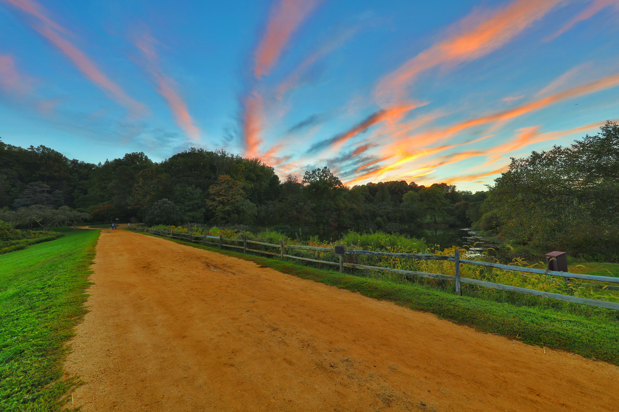 Canon EOS 5DS sample photo. Sunset at the park the other night photography