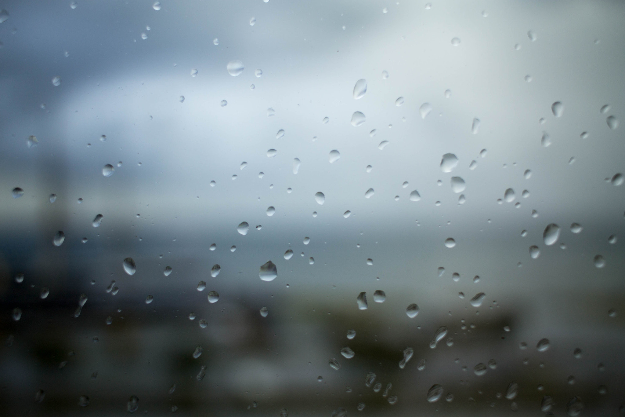 Canon EF-S 24mm F2.8 STM sample photo. Rain photography