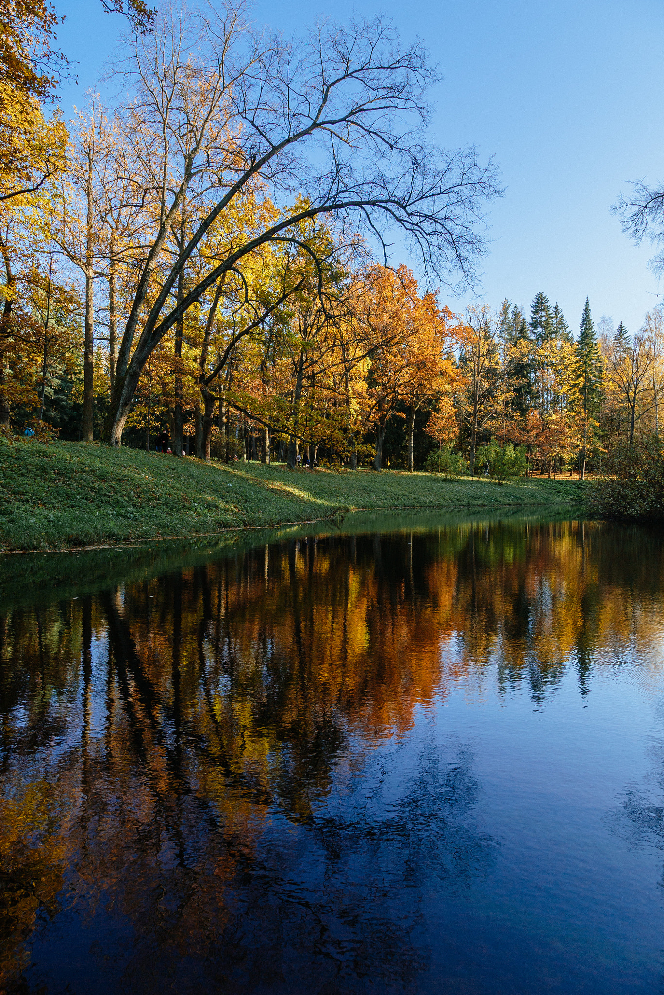 Sony a7S sample photo. Pavlovsk photography