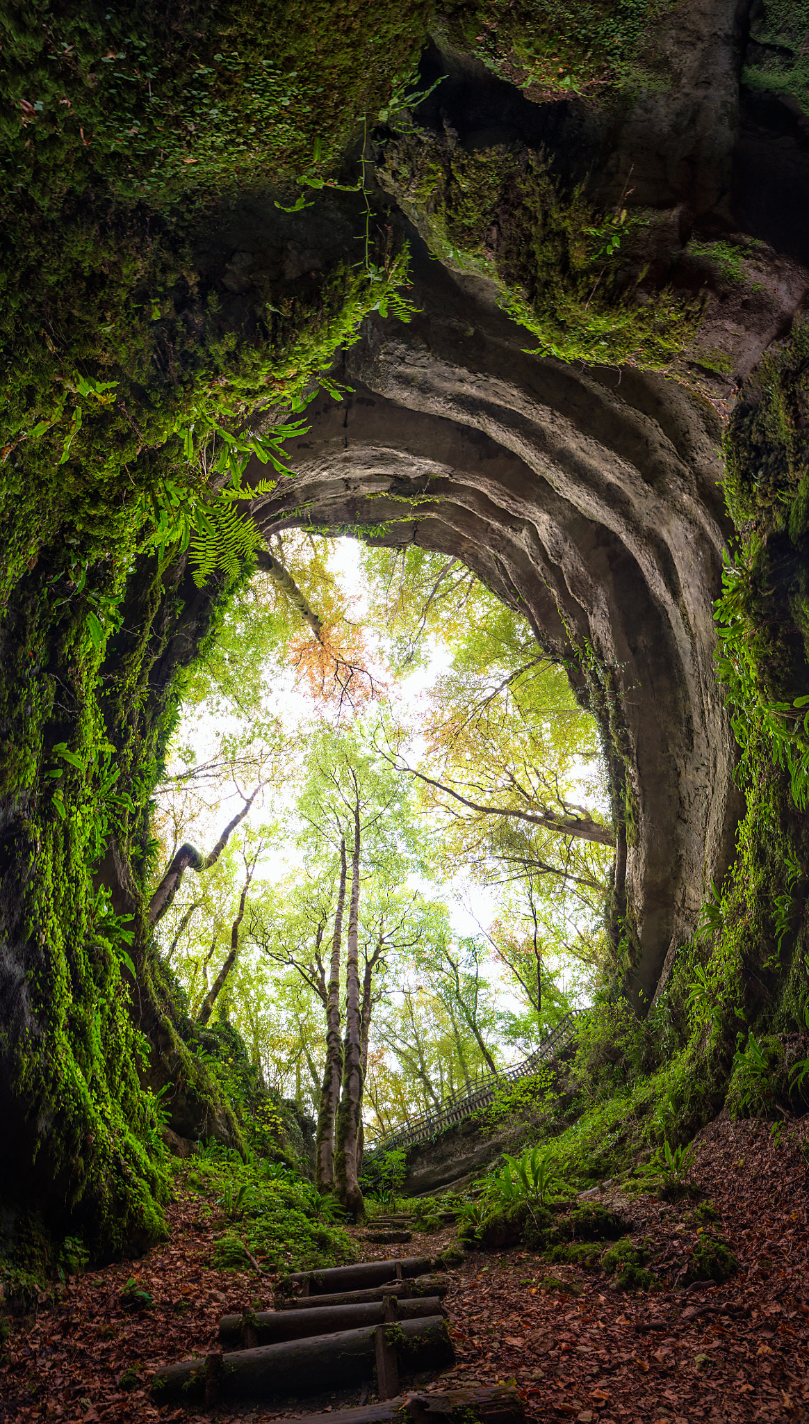 Samyang 14mm F2.8 ED AS IF UMC sample photo. Big hole photography
