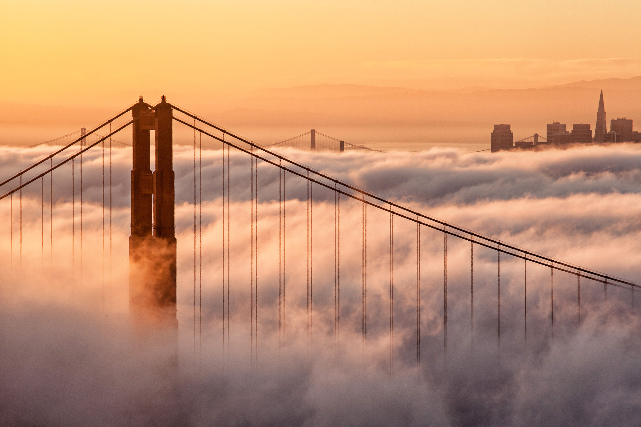 good morning san francisco by henry lien