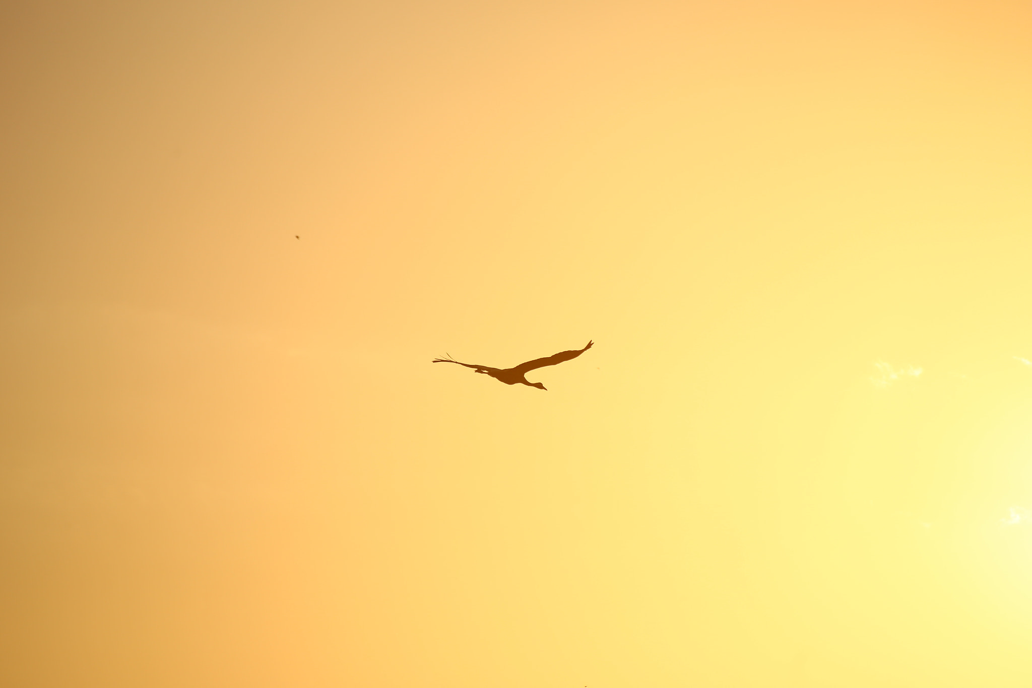 Sigma 70-300mm F4-5.6 APO DG Macro sample photo. Single on sunset photography