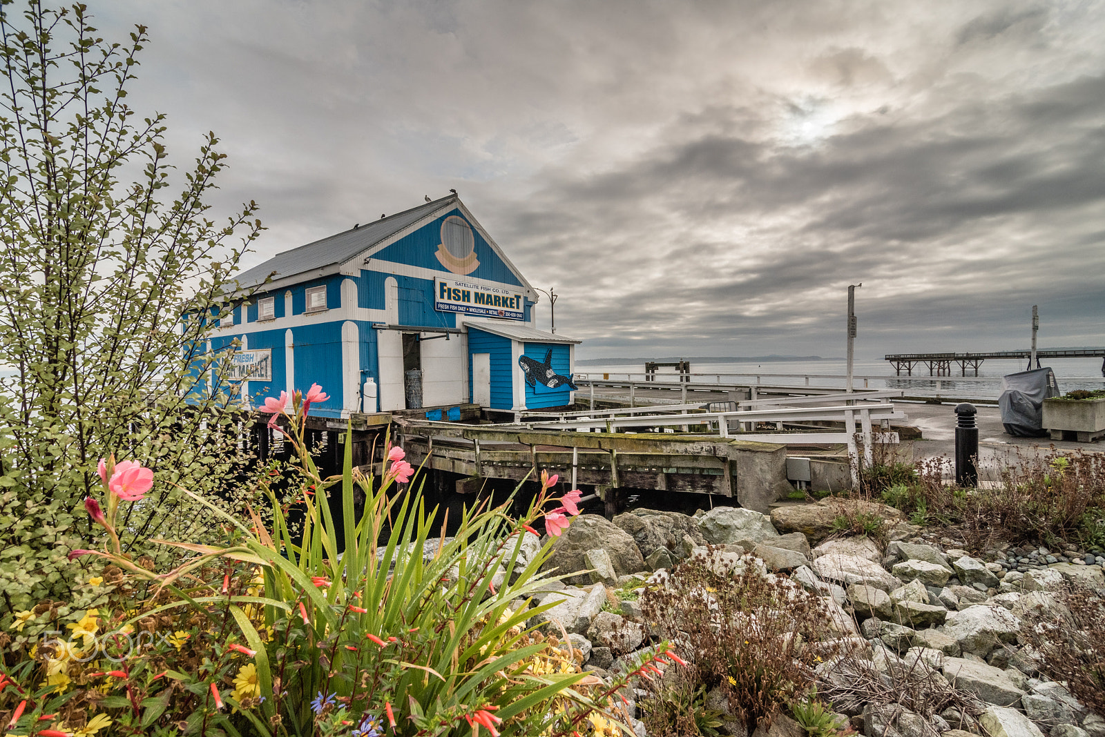 Nikon D750 sample photo. Popular fish market on the docks of sidney, bc photography