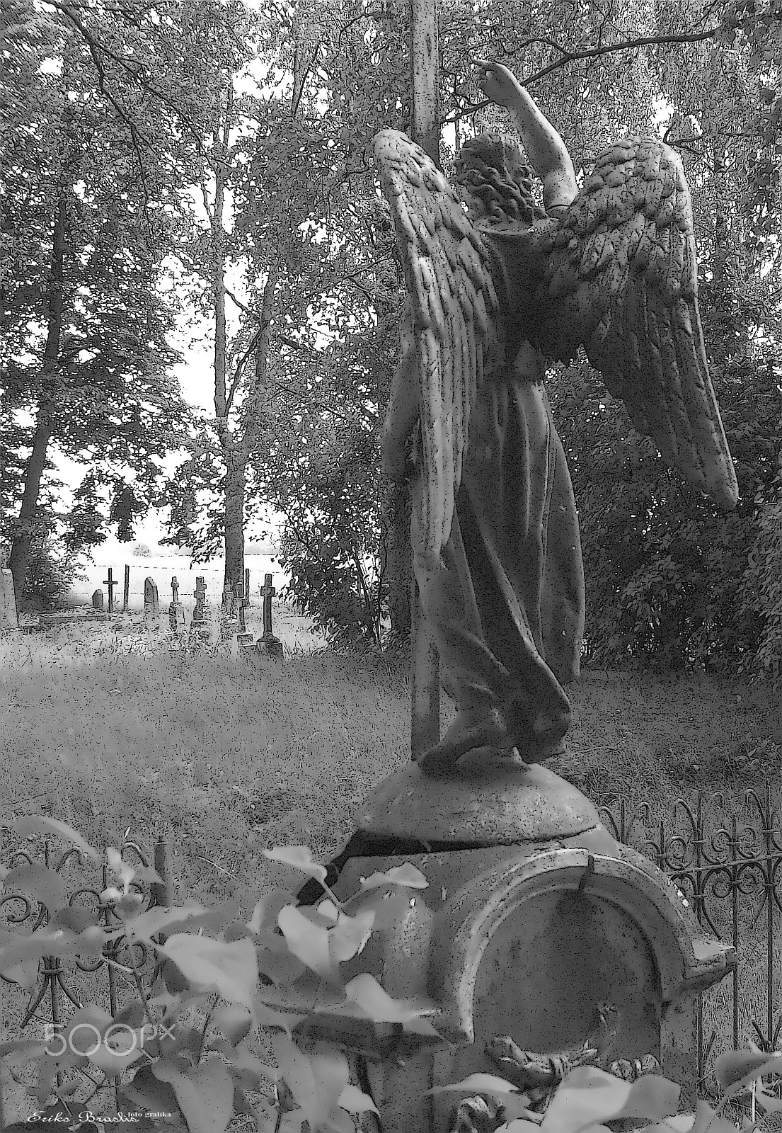 Fujifilm A170 A180 sample photo. Kapsētā. photography