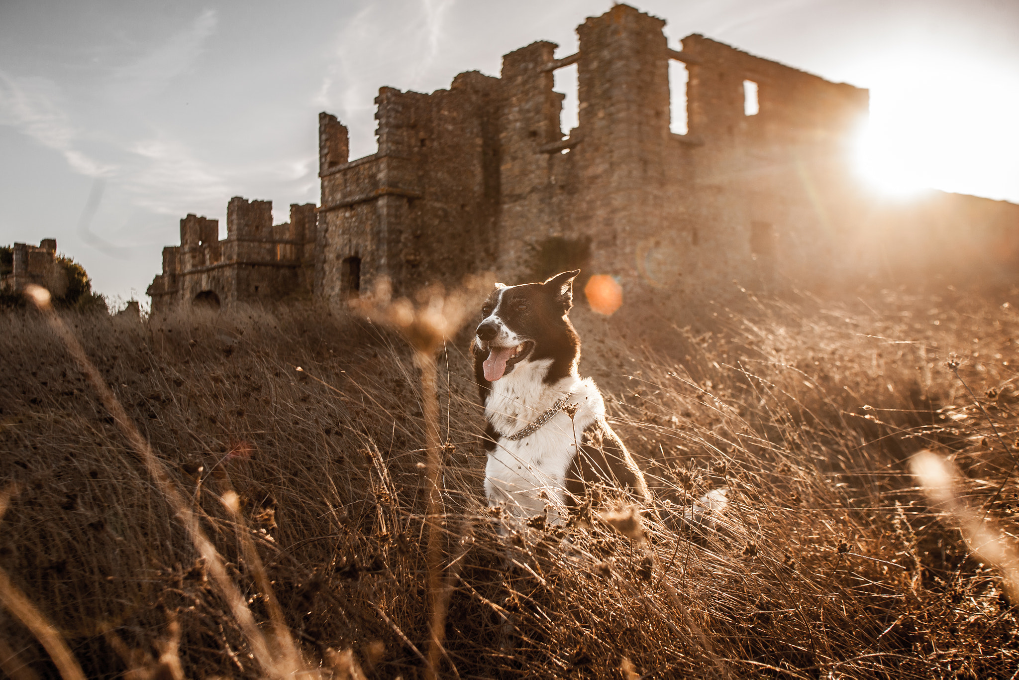 Canon EOS 5D + Canon EF 17-35mm f/2.8L sample photo. Charlie photography