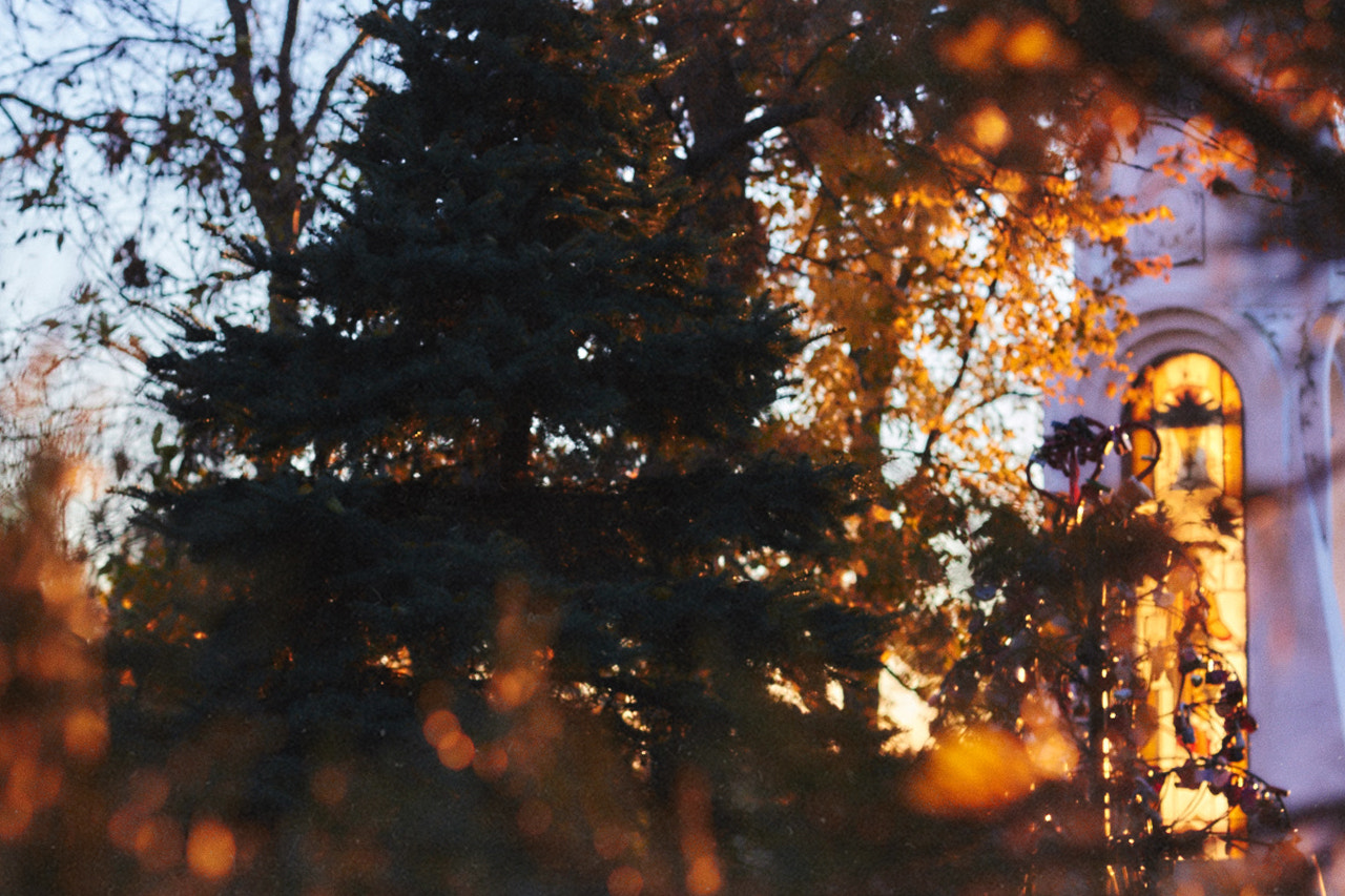 Canon EF 50mm F1.4 USM sample photo. Img photography