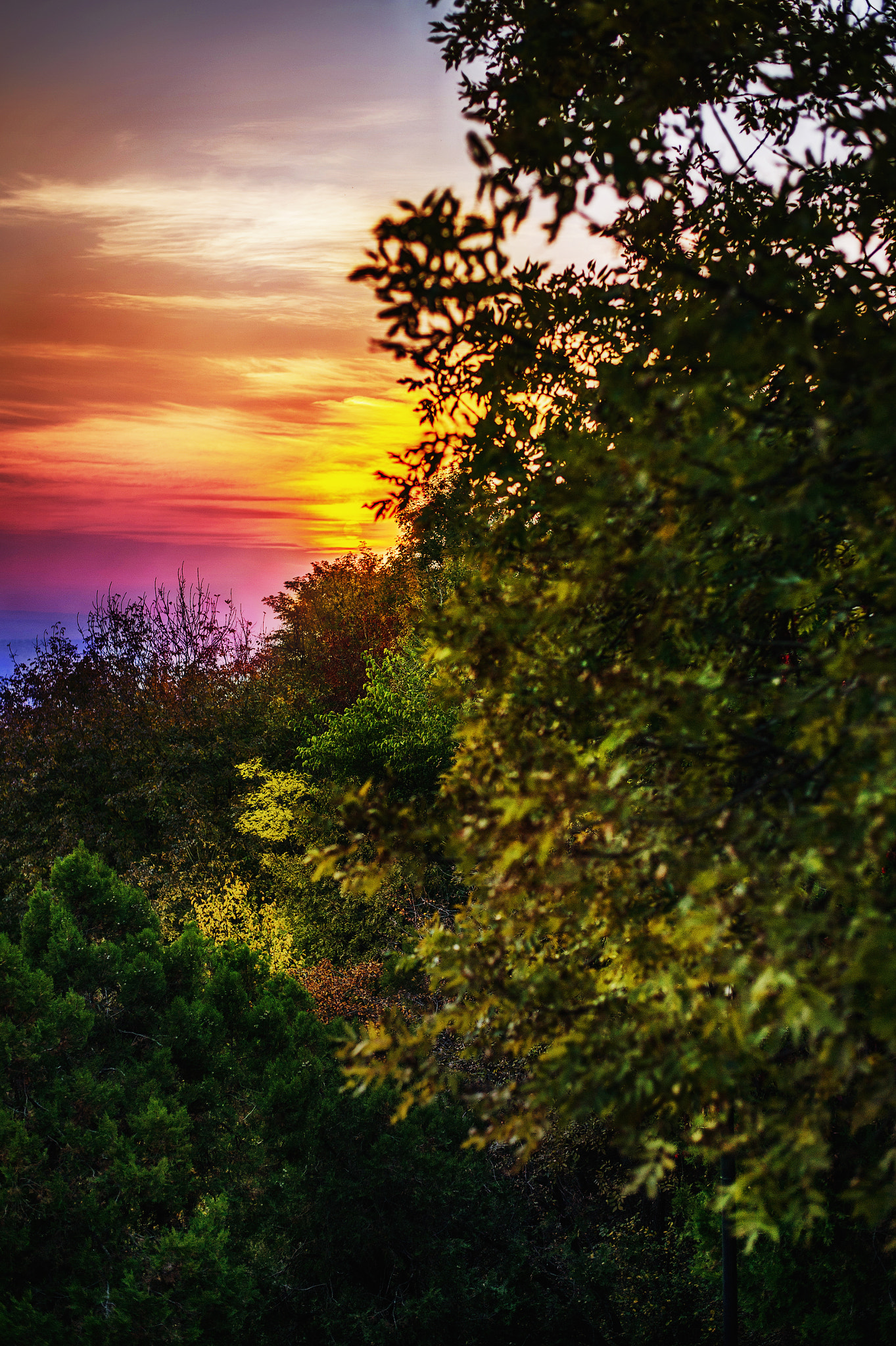 Nikon D4 sample photo. Autumn sunset photography