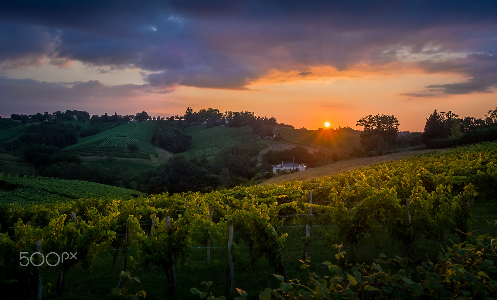 Olympus OM-D E-M5 + Panasonic Lumix G Vario 7-14mm F4 ASPH sample photo. Golden sunset at jurancon hills, france photography