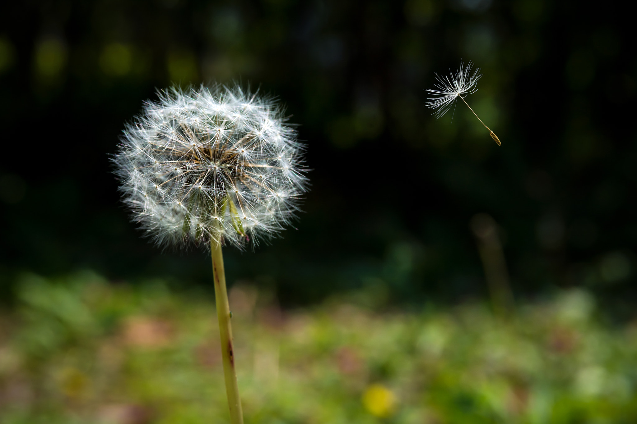 Sigma 17-70mm F2.8-4.5 DC Macro Asp. IF sample photo. Go, your world will be endless. photography