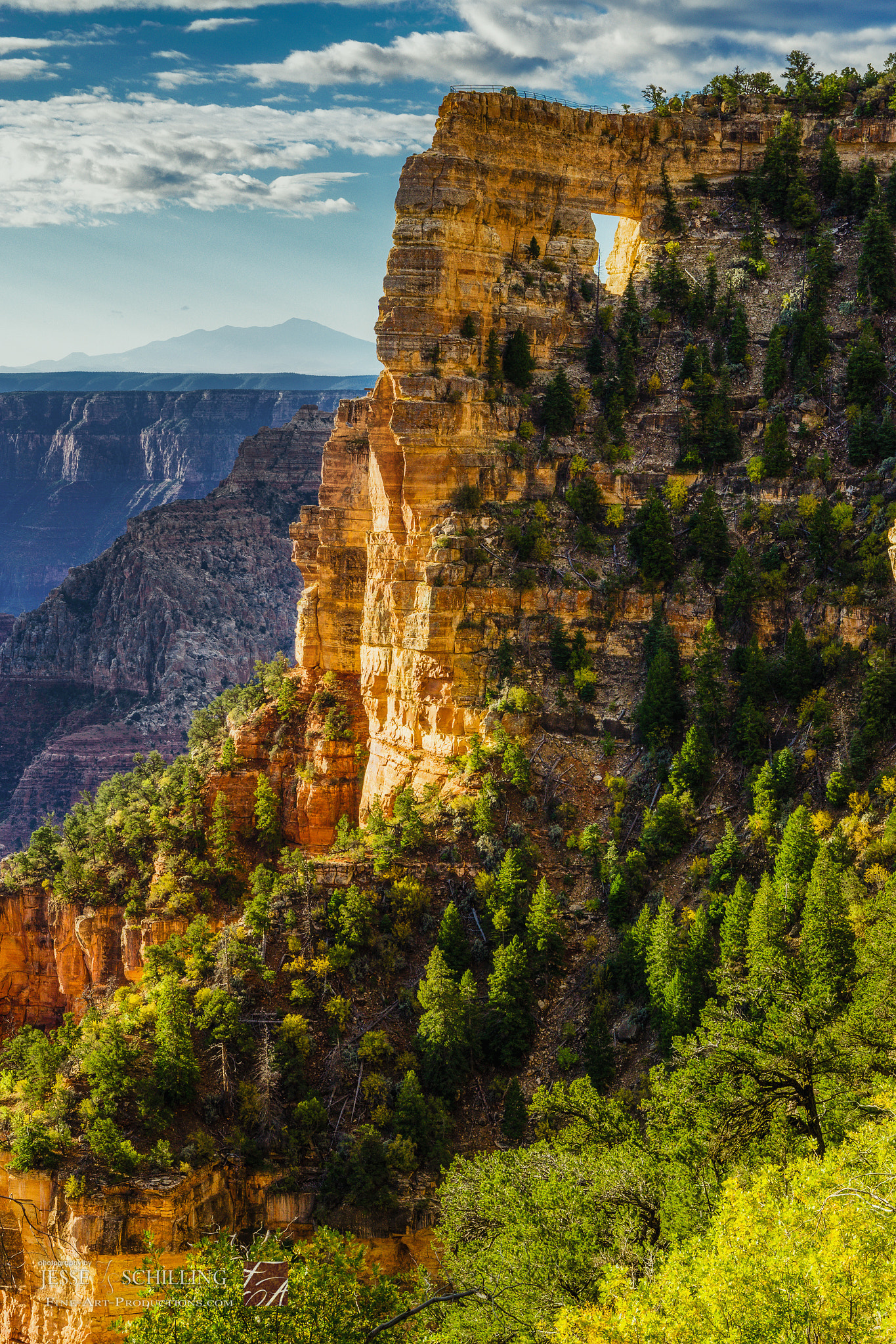 Canon EF-S 17-55mm F2.8 IS USM sample photo. Overlooking north rim and san francisco peaks photography