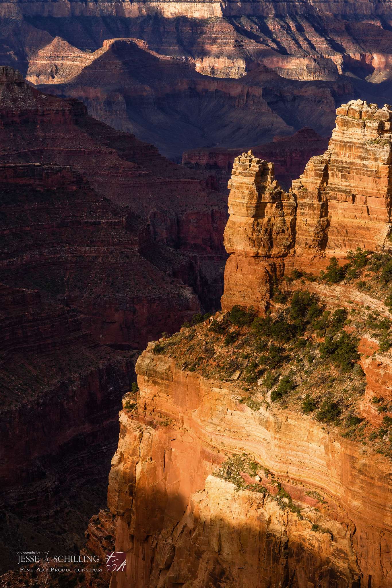 Canon EF-S 17-55mm F2.8 IS USM sample photo. North rim grand canyon light pocket photography