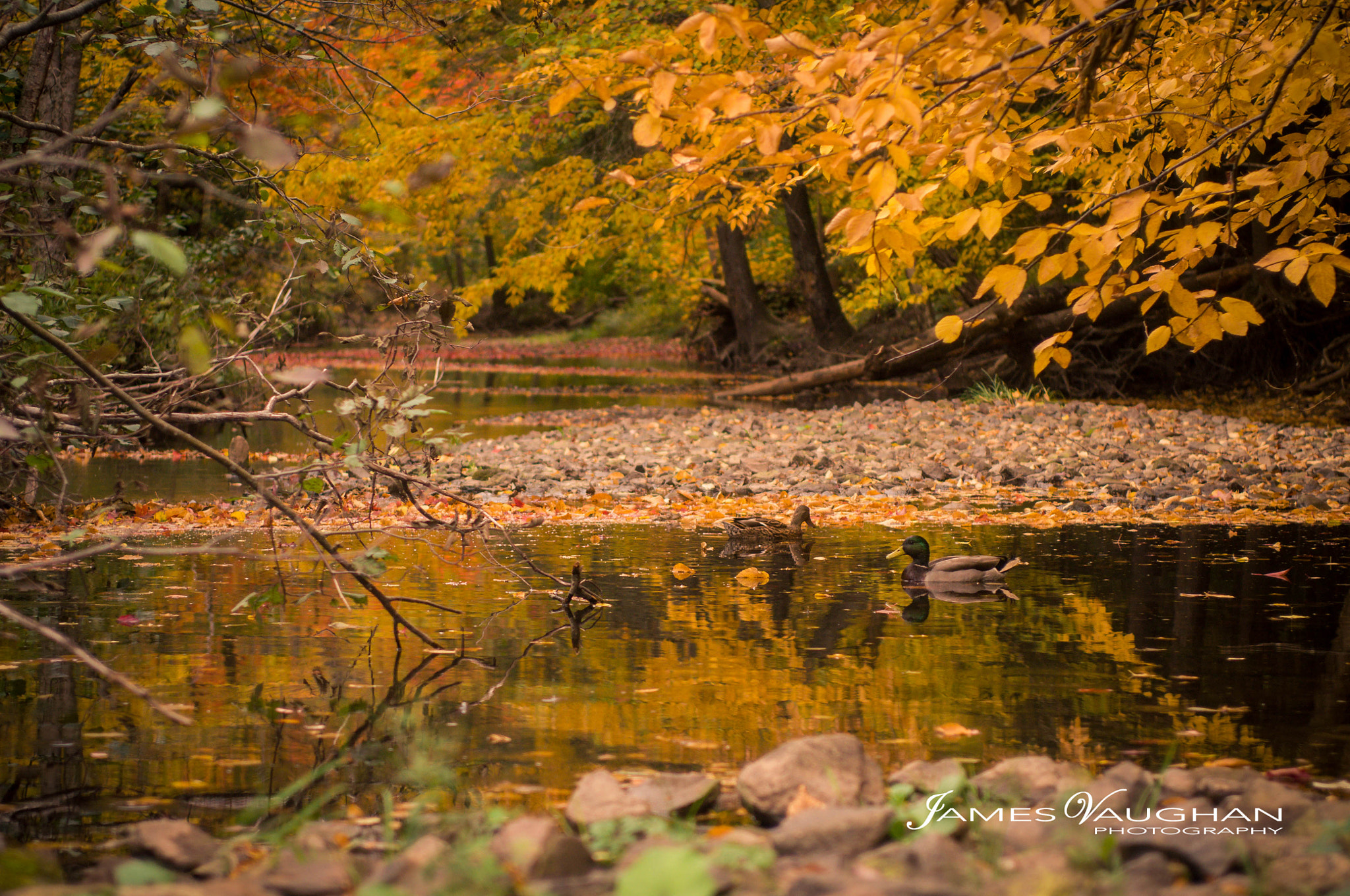 Nikon D90 + AF Zoom-Nikkor 35-70mm f/2.8D sample photo. Staying for the winter photography