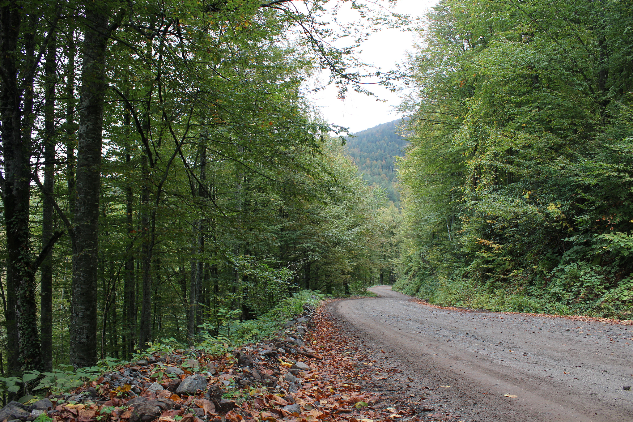Canon EOS 100D (EOS Rebel SL1 / EOS Kiss X7) sample photo. Autumn in turkey photography