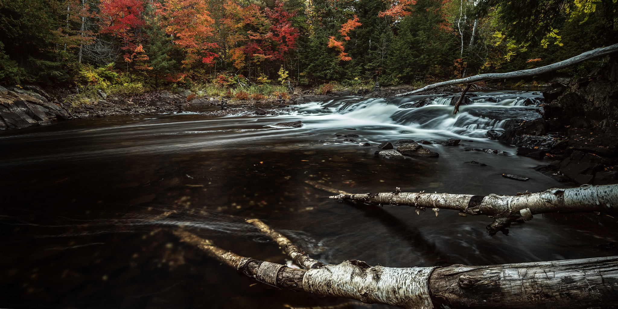 Canon EOS 5D Mark IV + Canon TS-E 24.0mm f/3.5 L II sample photo. The low downstream photography