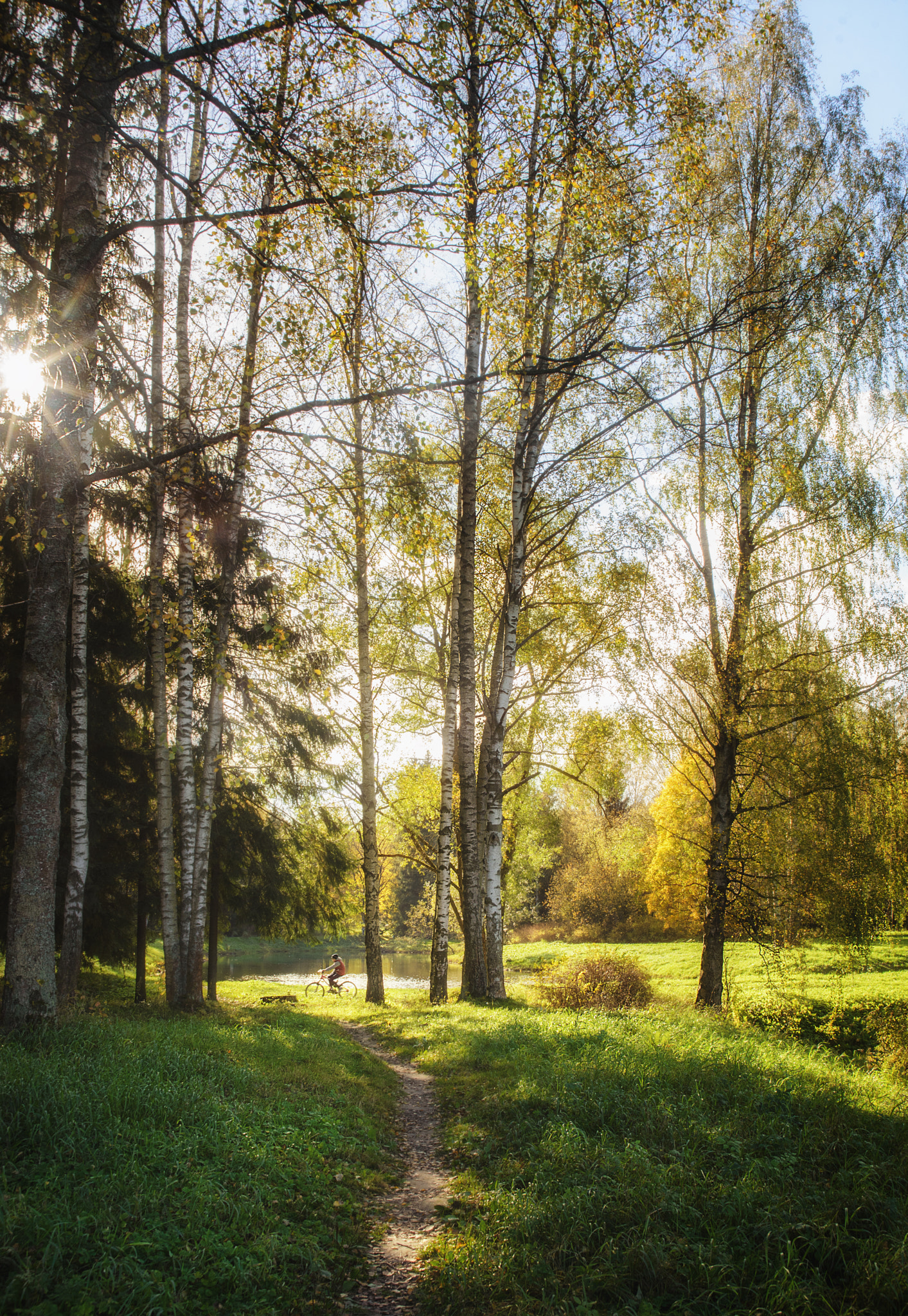 Nikon D610 + Sigma 28-105mm F2.8-4 Aspherical sample photo. Last sunny days... photography