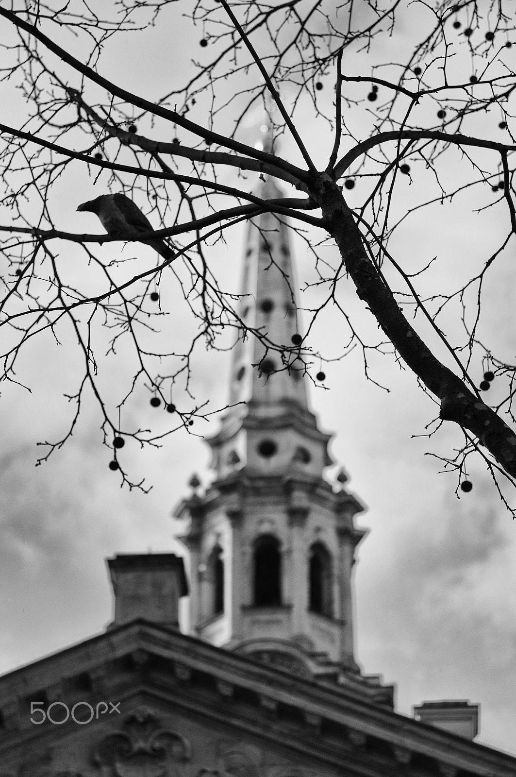 Pentax smc DA 70mm F2.4 AL Limited sample photo. St martin in the fields photography