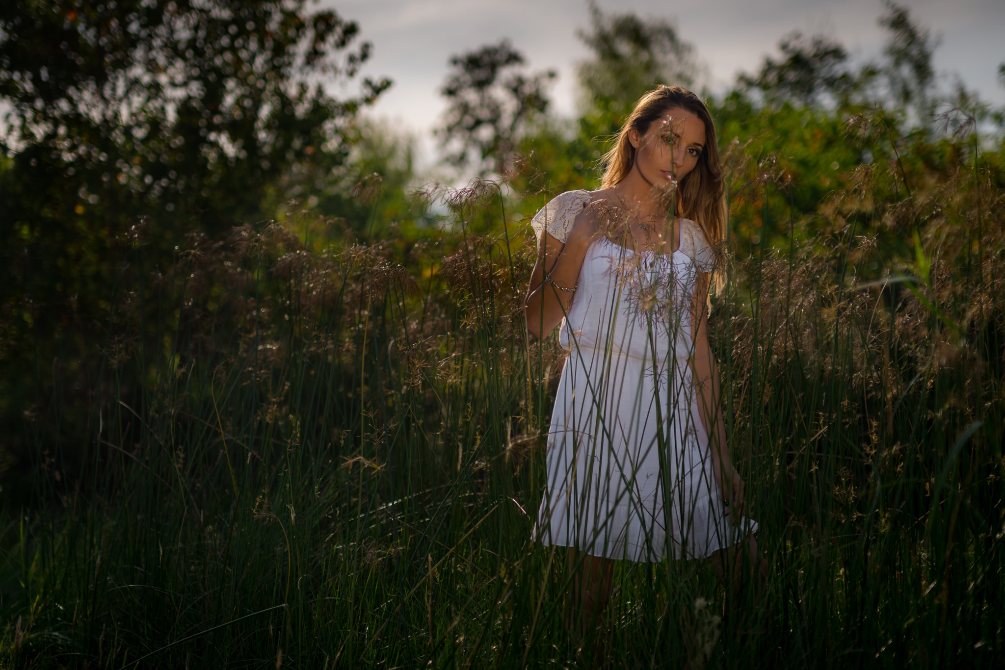 Canon 50mm F1.4 DG HSM | Art 014 sample photo. Dsc photography