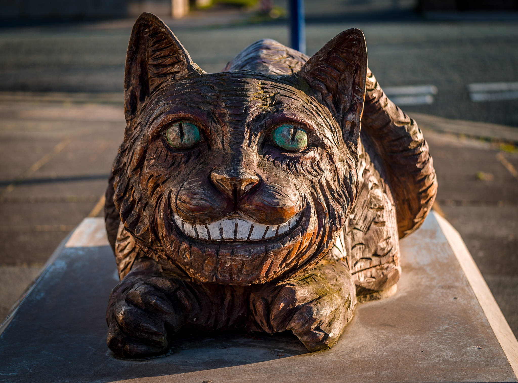 Sony a7S + Sony FE 90mm F2.8 Macro G OSS sample photo. Cheshire cat photography