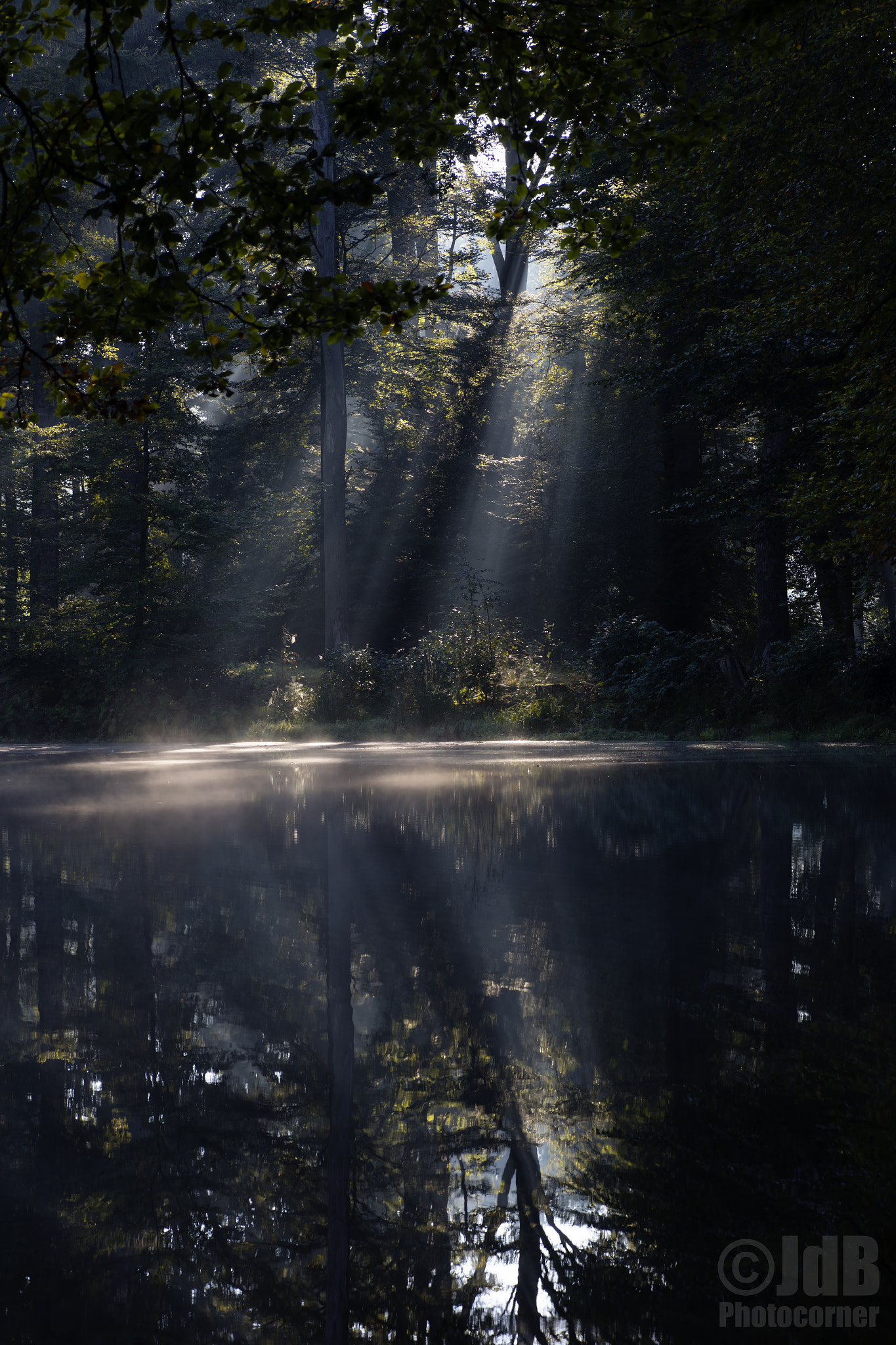 Canon EOS 6D + Tamron SP AF 90mm F2.8 Di Macro sample photo. Parallel worlds photography