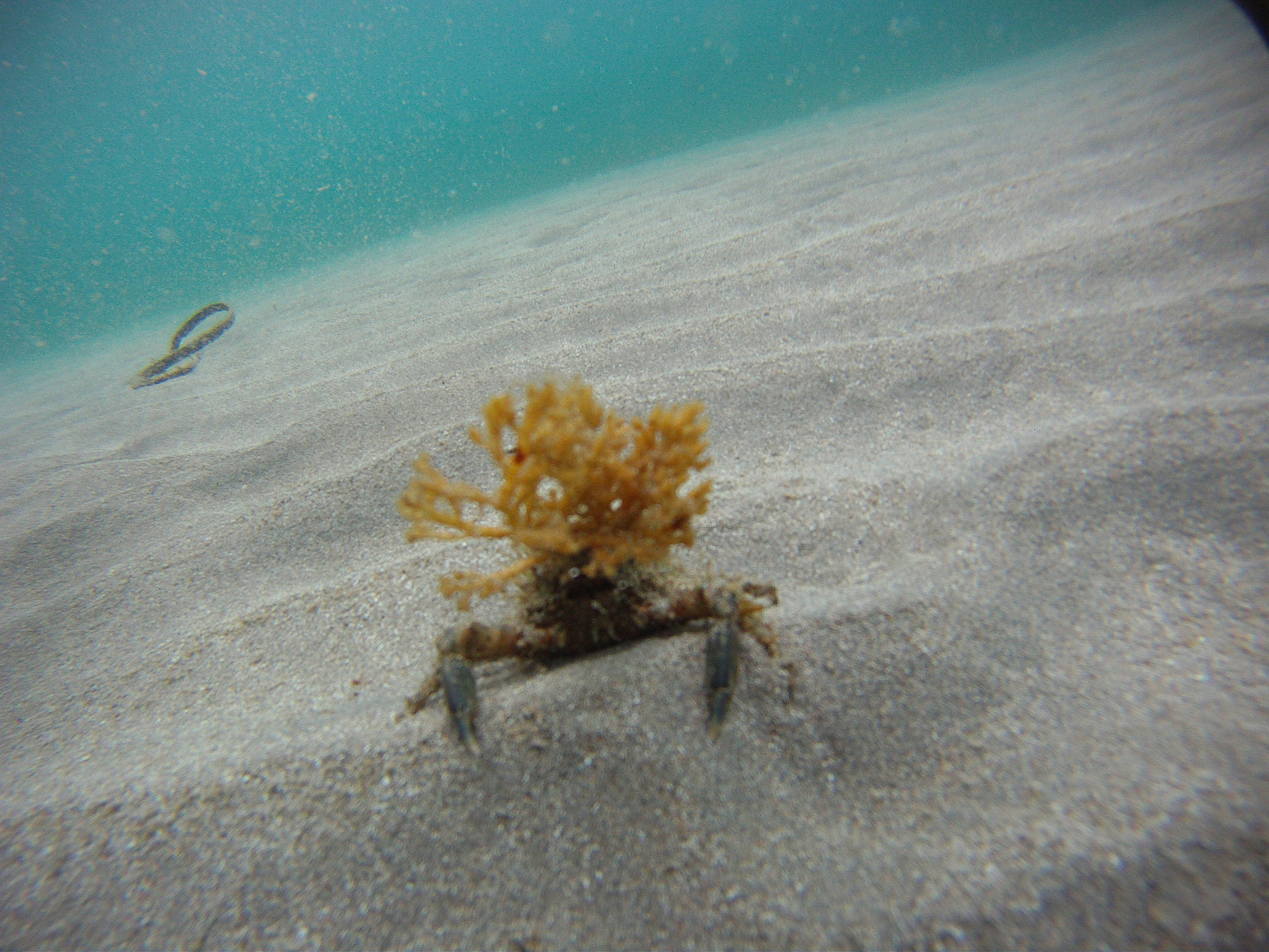GoPro YHDC5170 sample photo. Dcim\100gopro photography