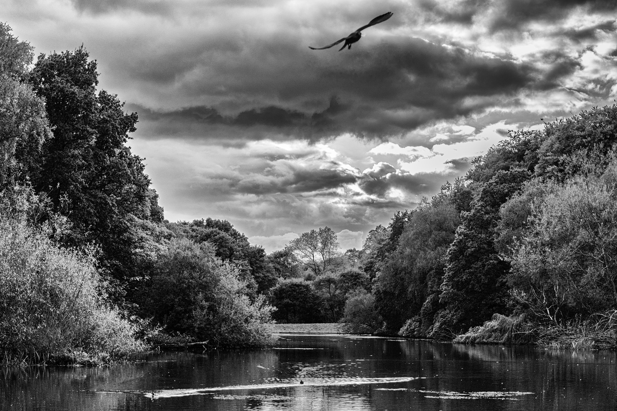 Samsung NX 30mm F2 Pancake sample photo. Gullake photography
