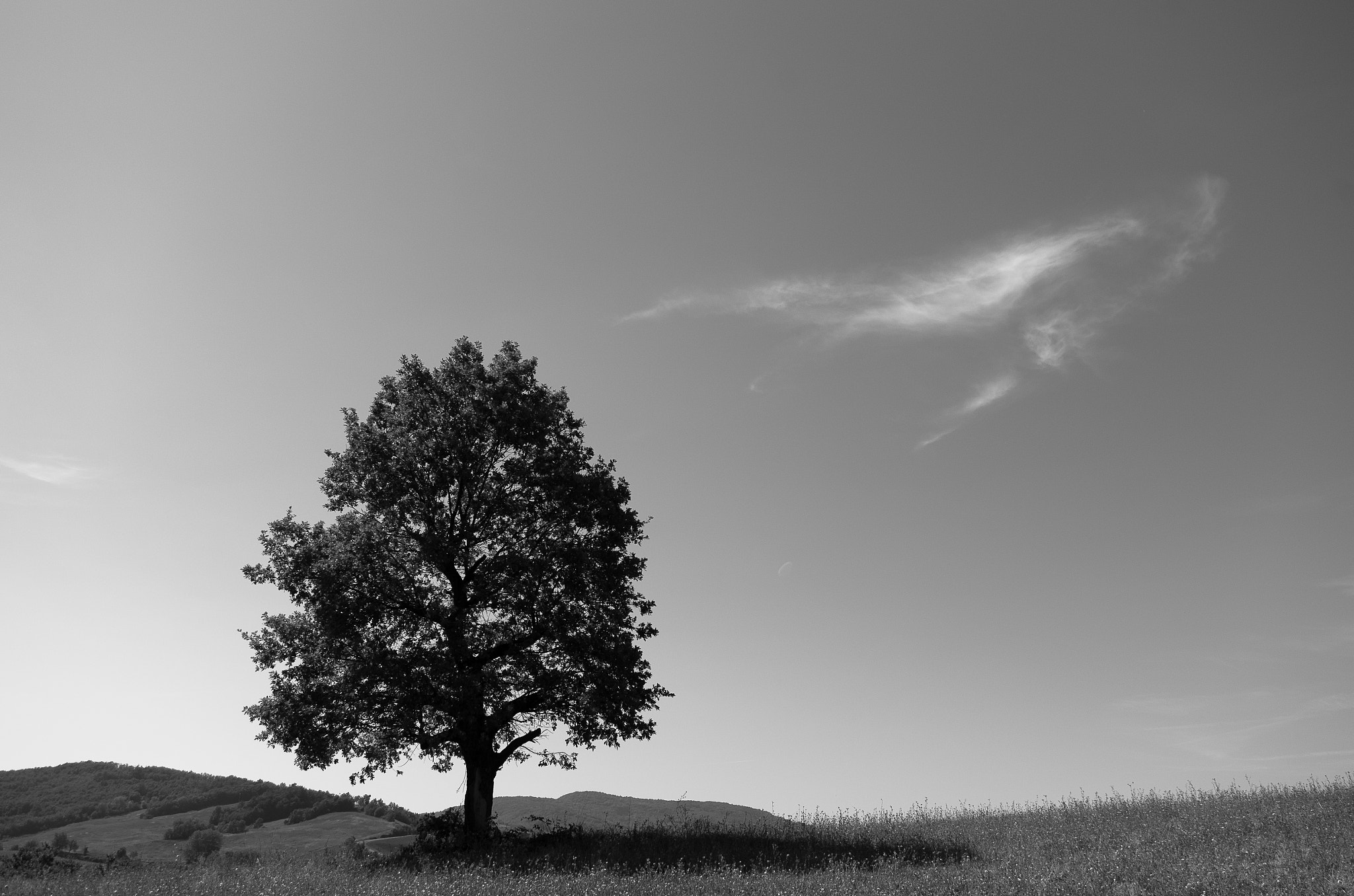 Pentax K-30 sample photo. The tree, the sky and the apennines photography