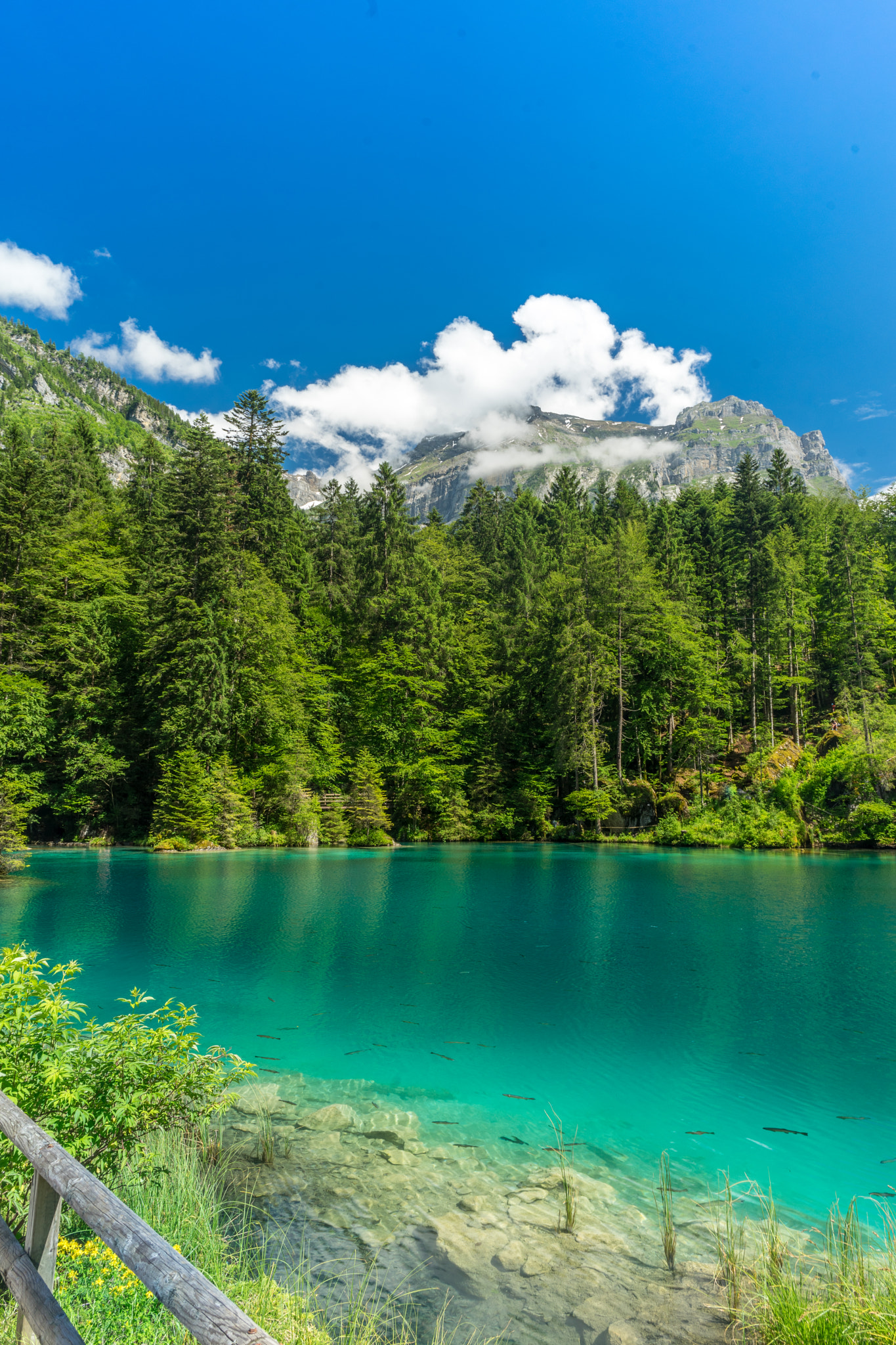 ZEISS Batis 25mm F2 sample photo. Blausee photography