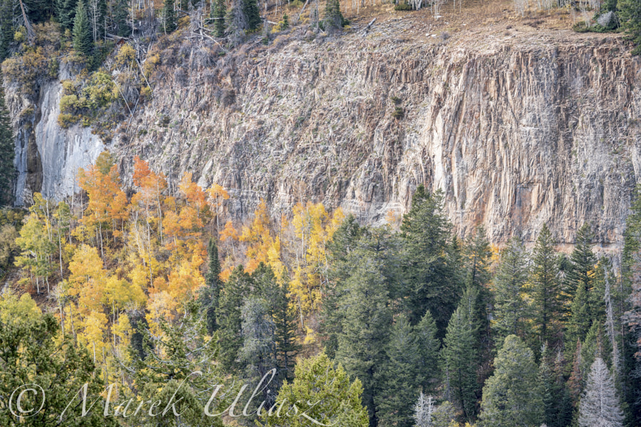 Sony a7R II sample photo. Aspen, spruce  and sandstone cliff photography