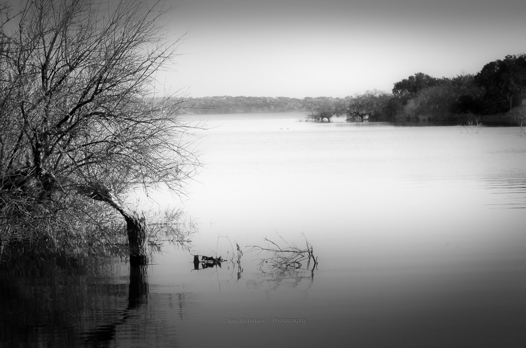 Nikon AF-S Nikkor 24-120mm F4G ED VR sample photo. Foggy morning photography